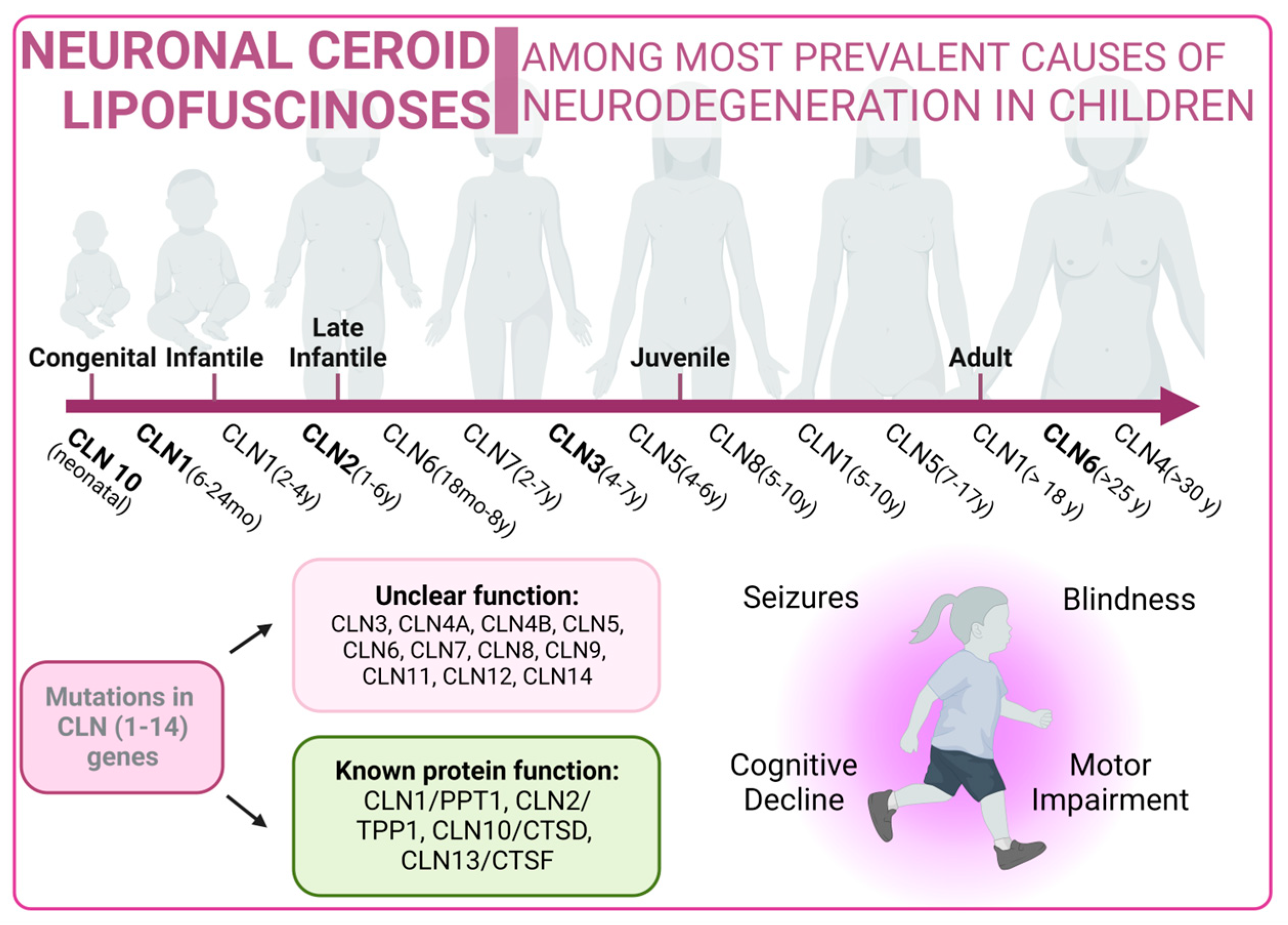 Biology 13 00034 g005