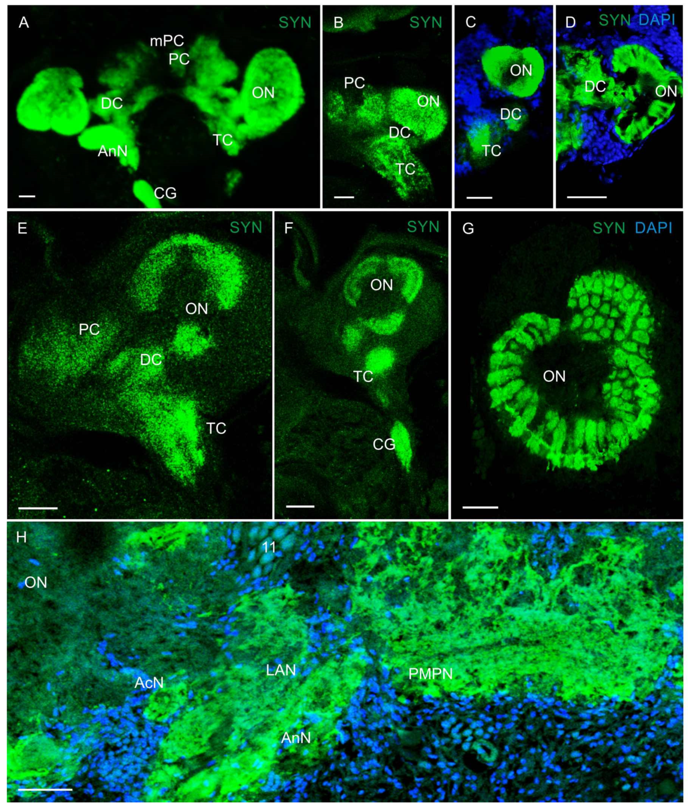 Biology 13 00035 g002