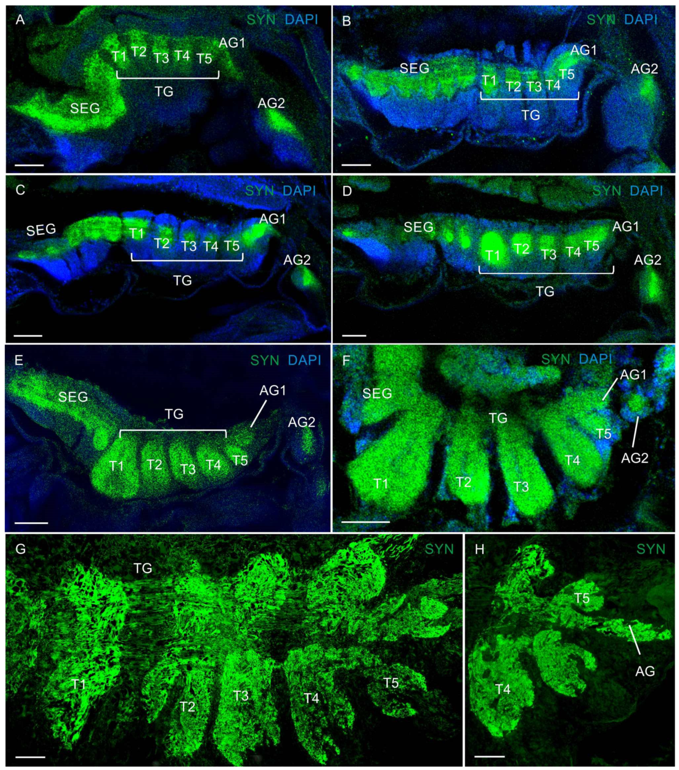 Biology 13 00035 g003