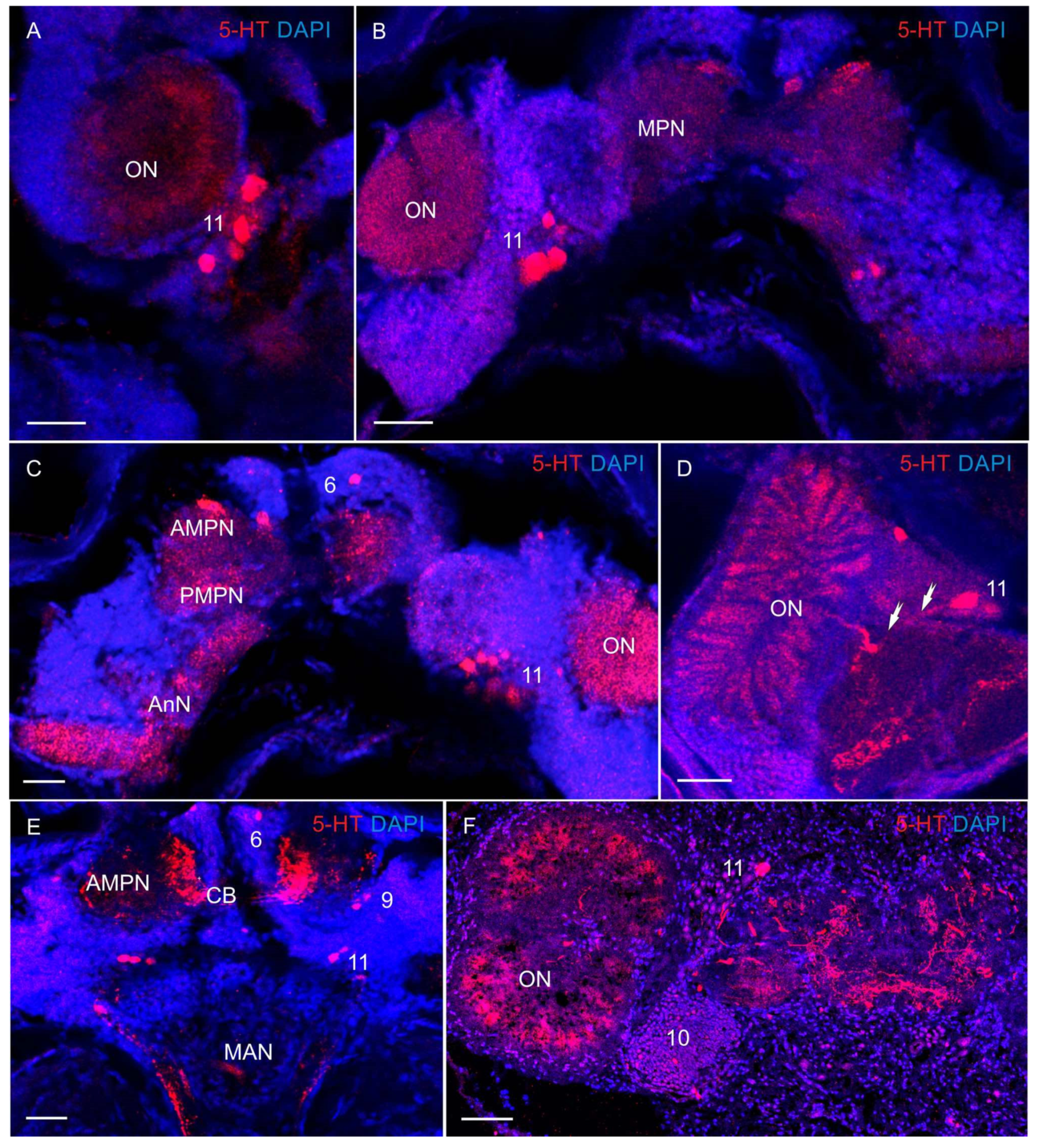 Biology 13 00035 g005