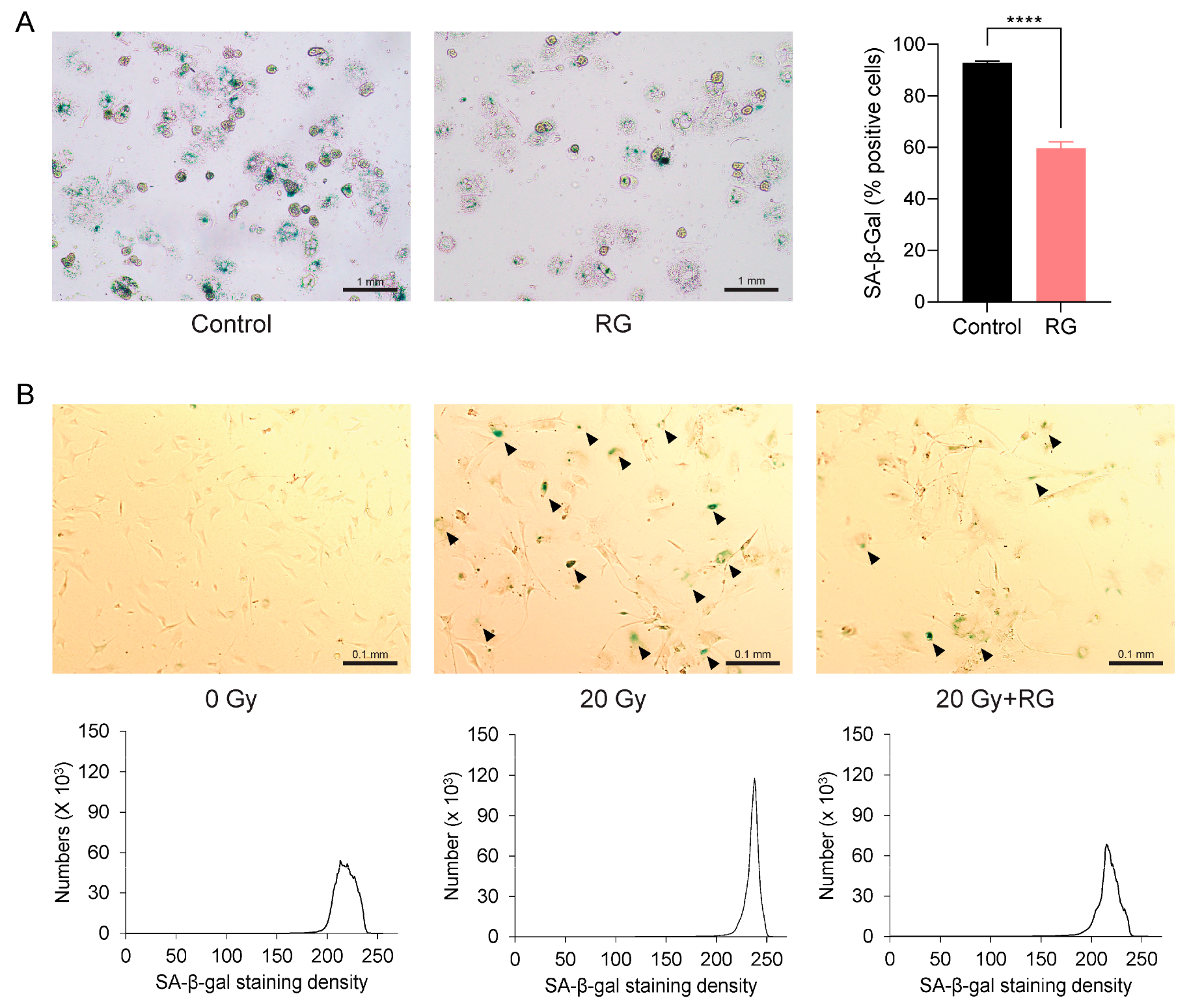 Biology 13 00036 g005