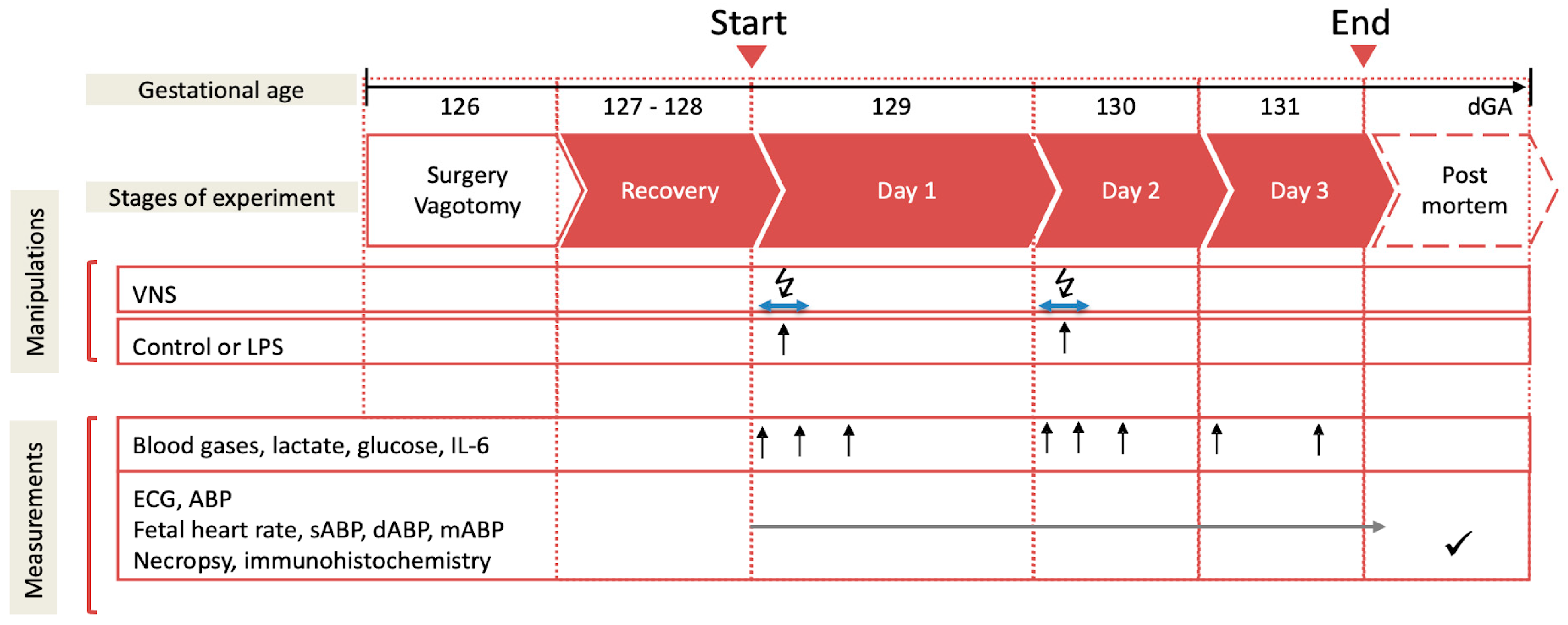 Biology 13 00038 g001