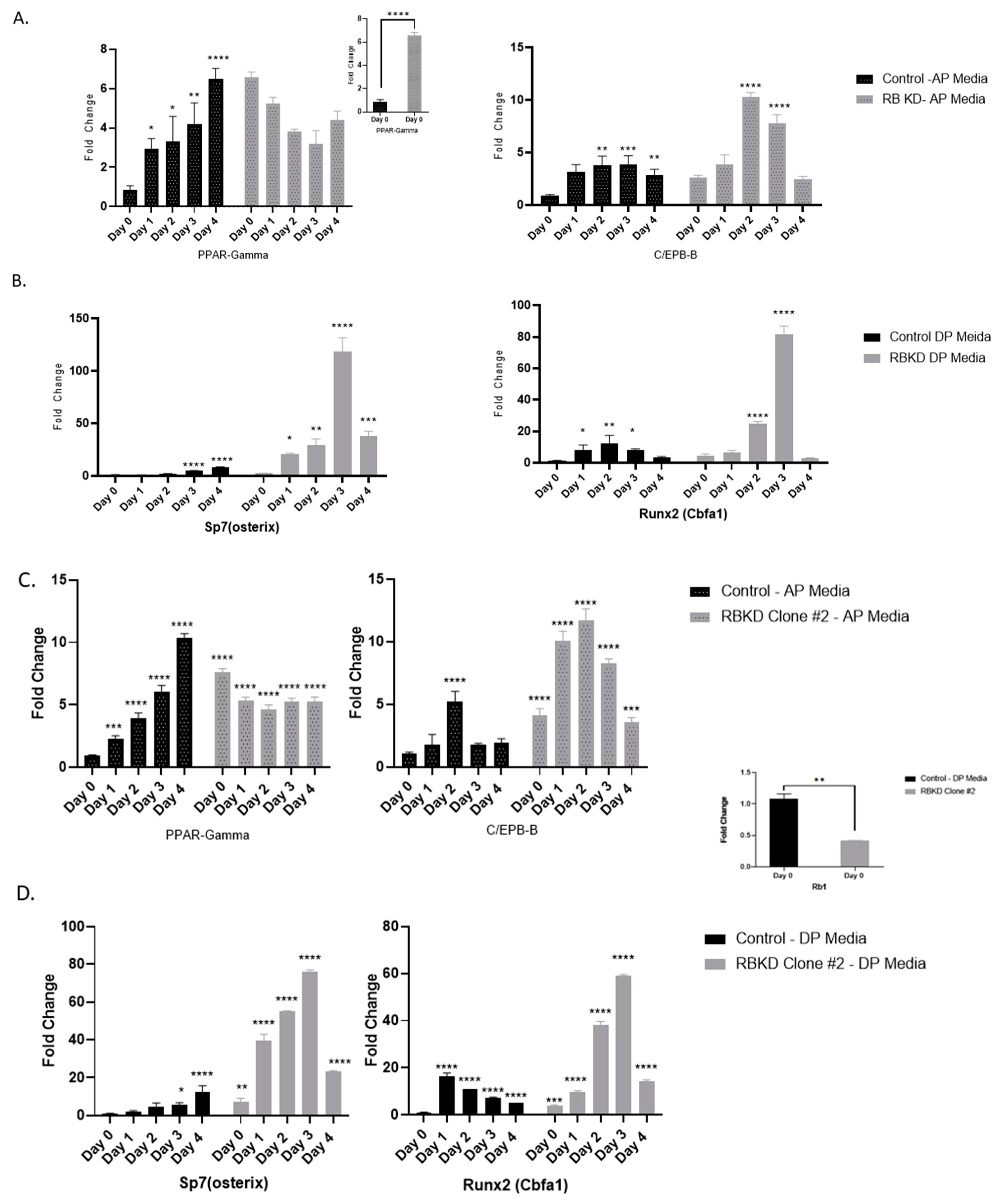 Biology 13 00039 g001a