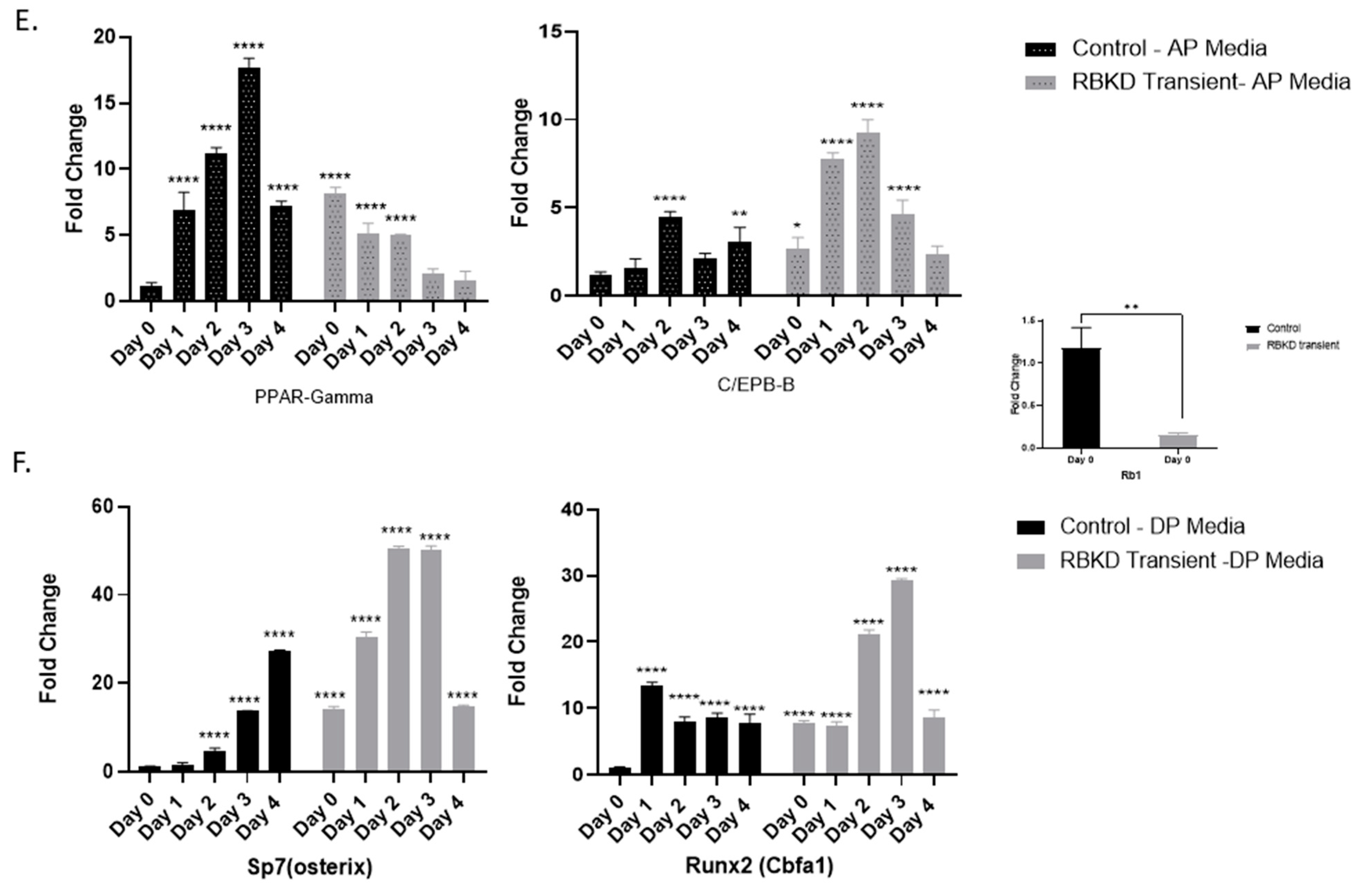 Biology 13 00039 g001b