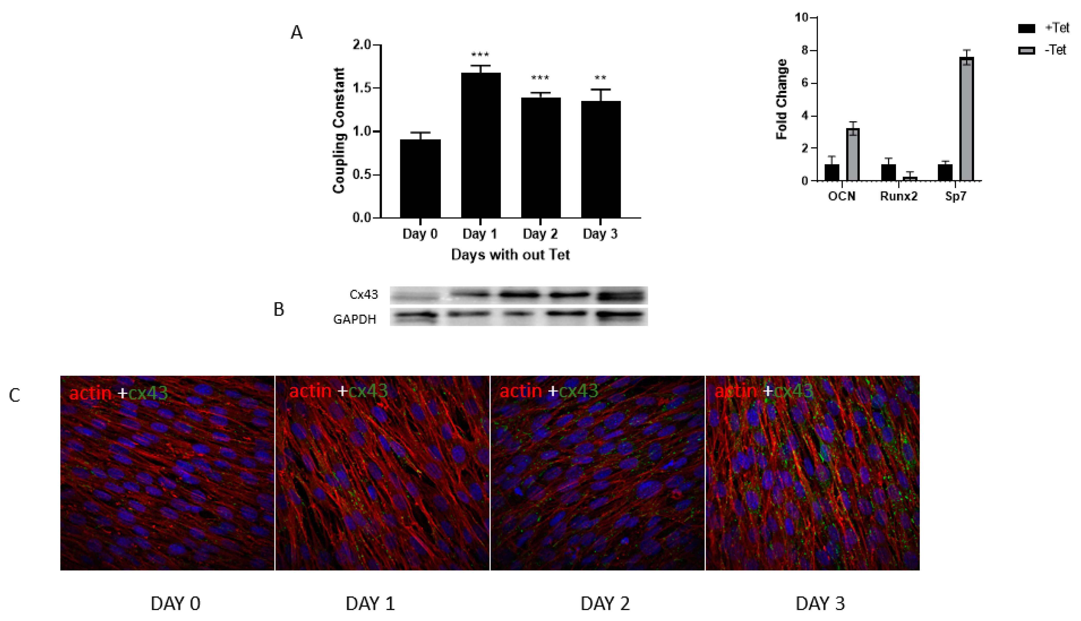 Biology 13 00039 g003