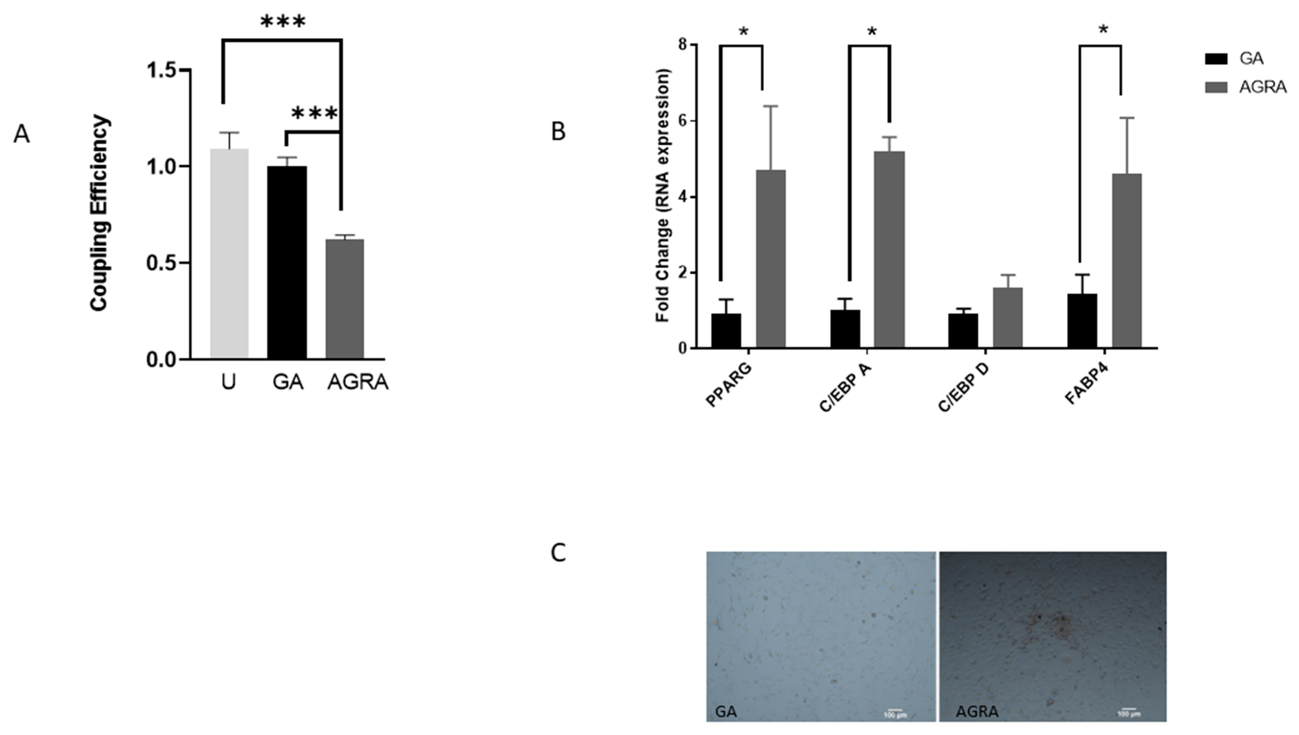 Biology 13 00039 g004