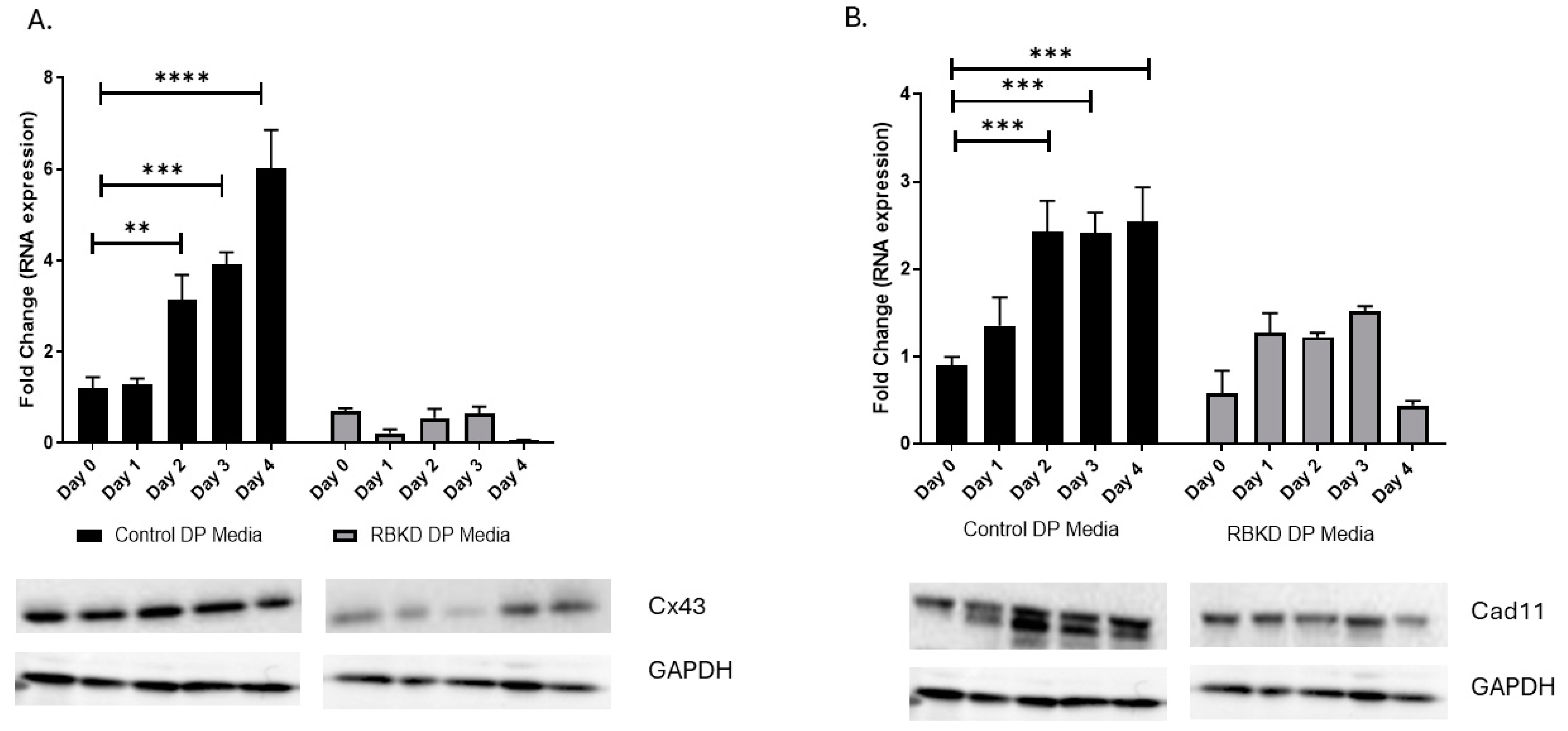 Biology 13 00039 g005a