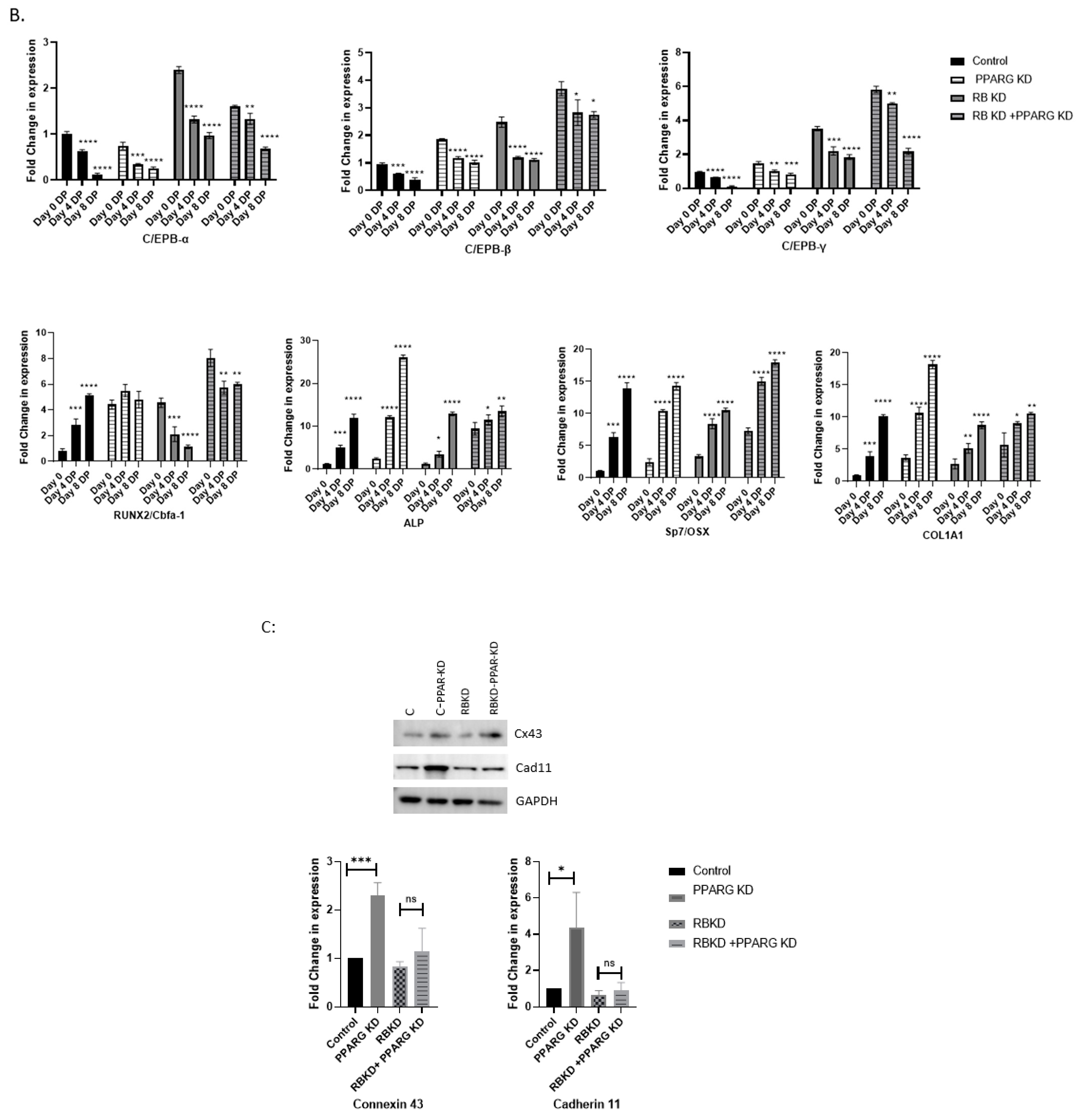Biology 13 00039 g006b