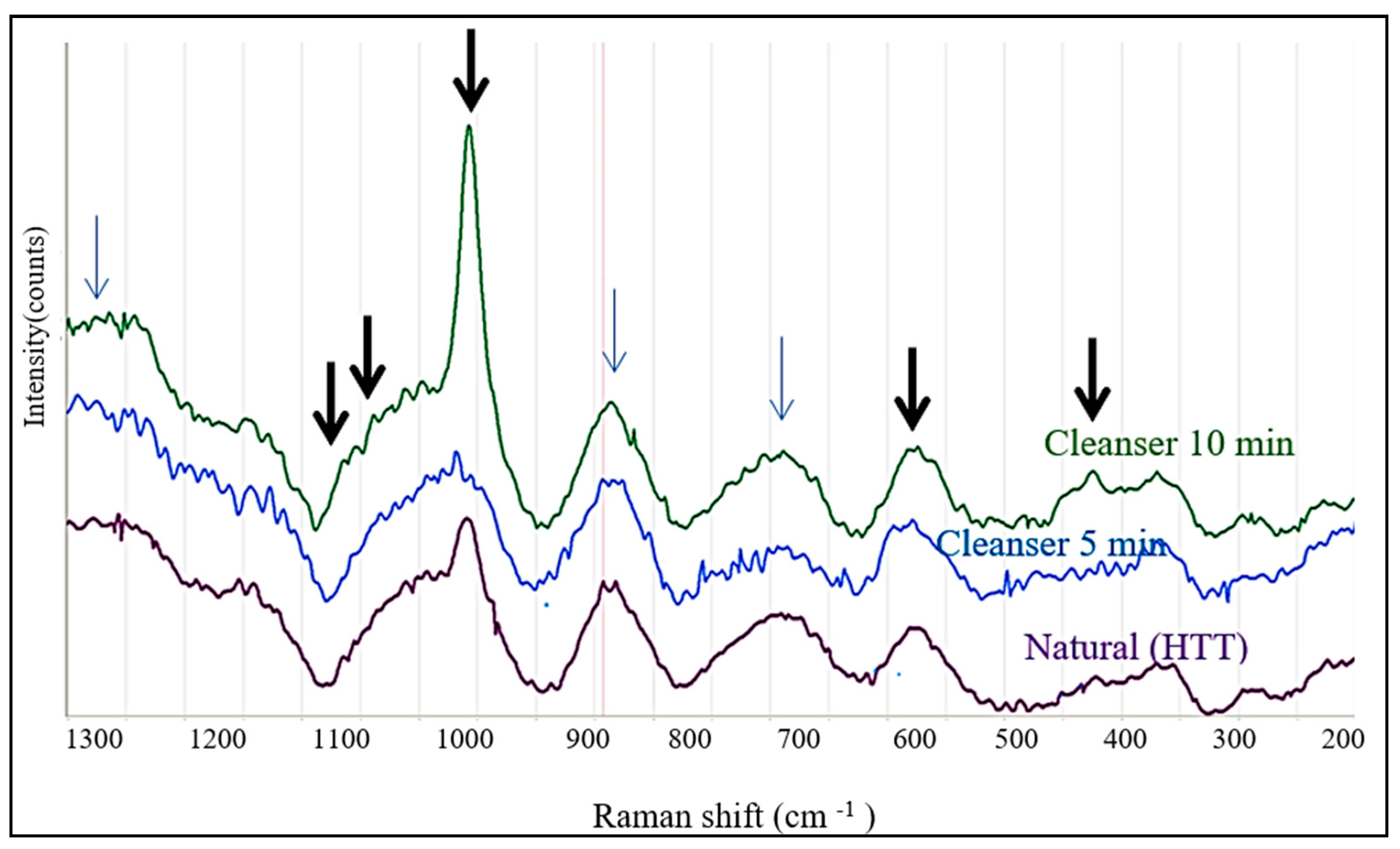 Biology 13 00040 g008