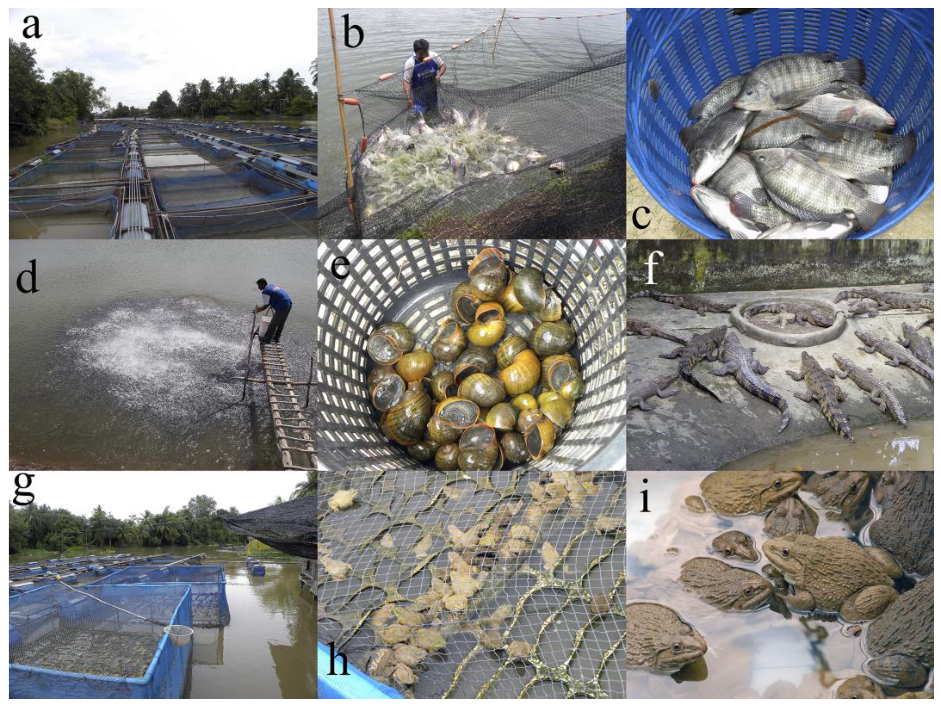 Biology 13 00041 g001