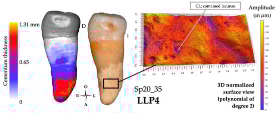 Biology 13 00043 g010