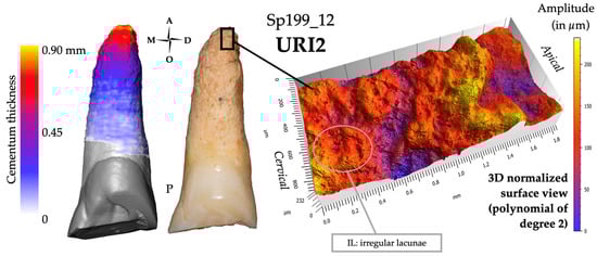 Biology 13 00043 g011