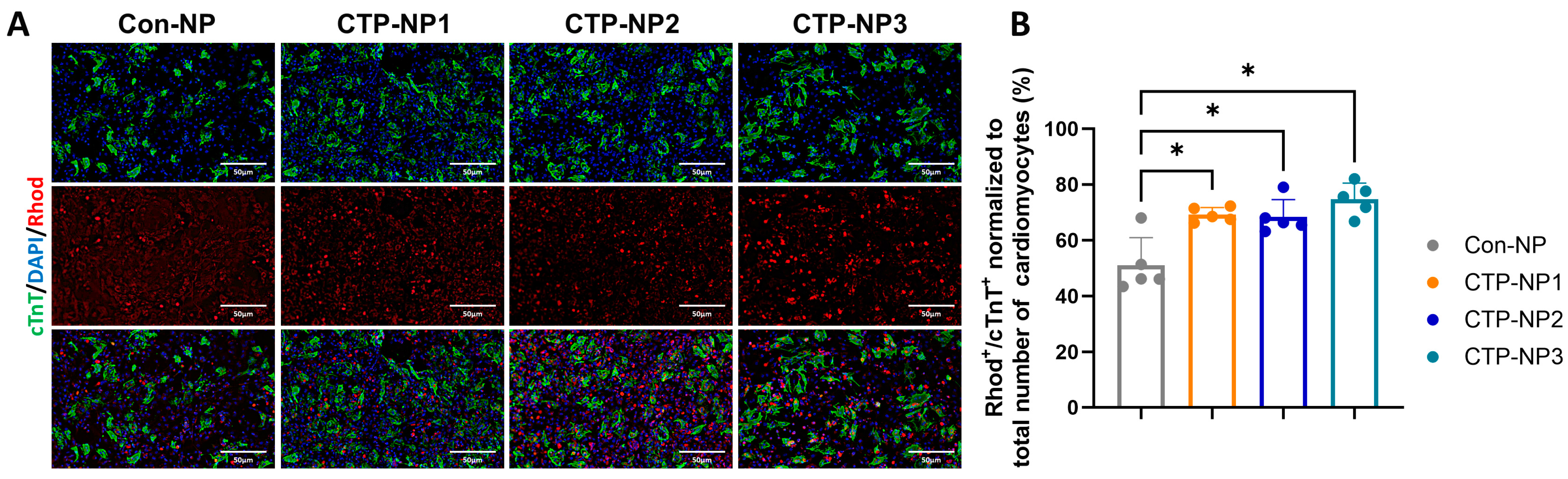 Biology 13 00047 g004