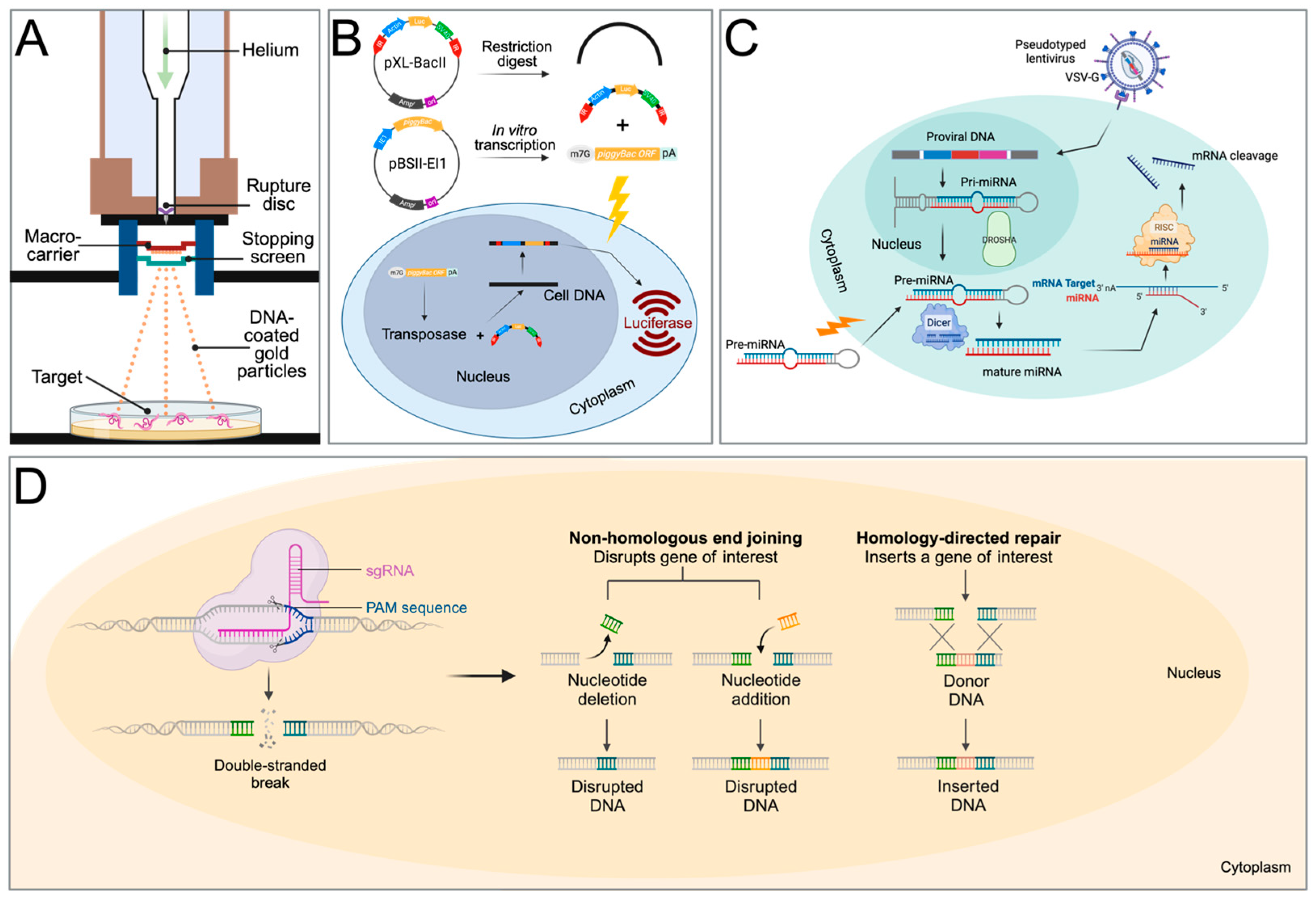 Biology 13 00048 g002
