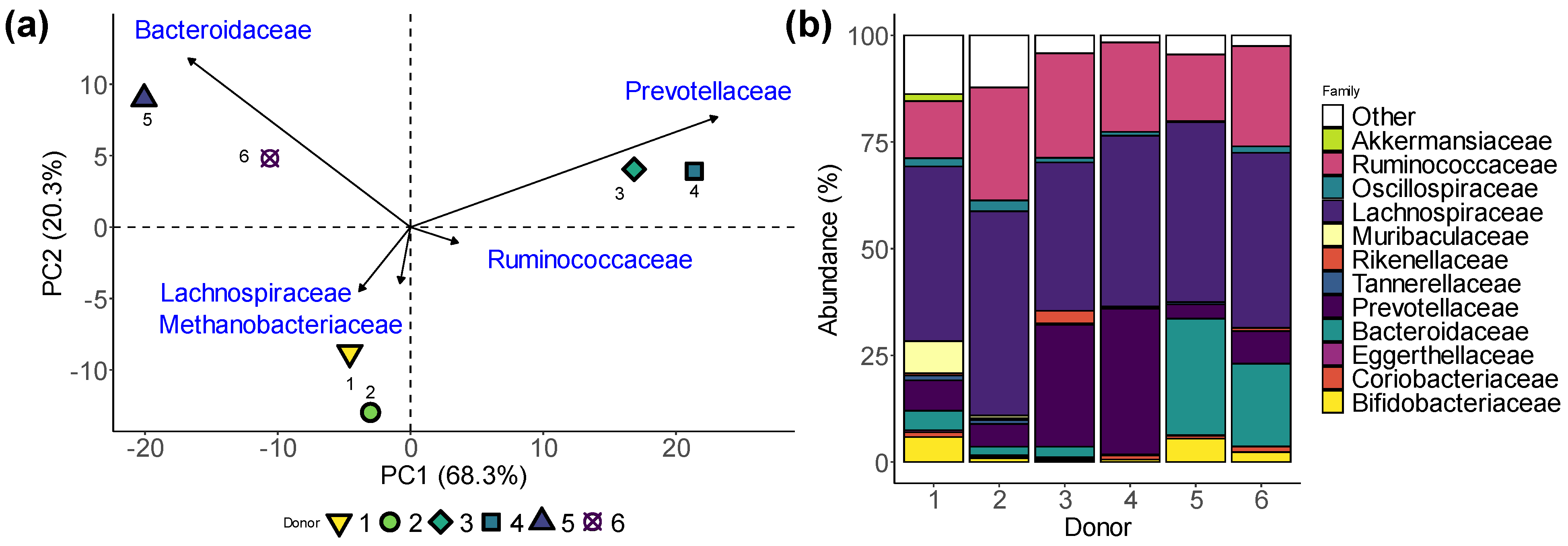 Biology 13 00051 g002