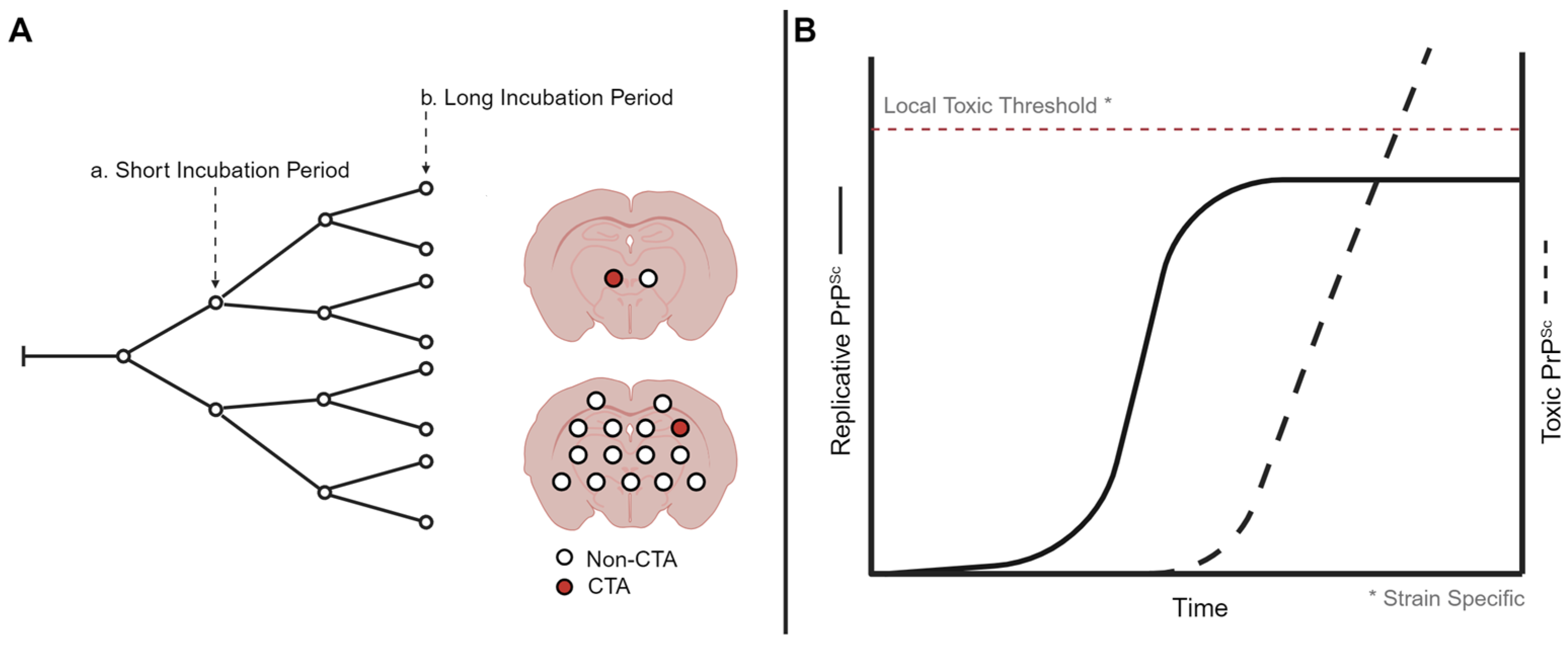 Biology 13 00057 g001