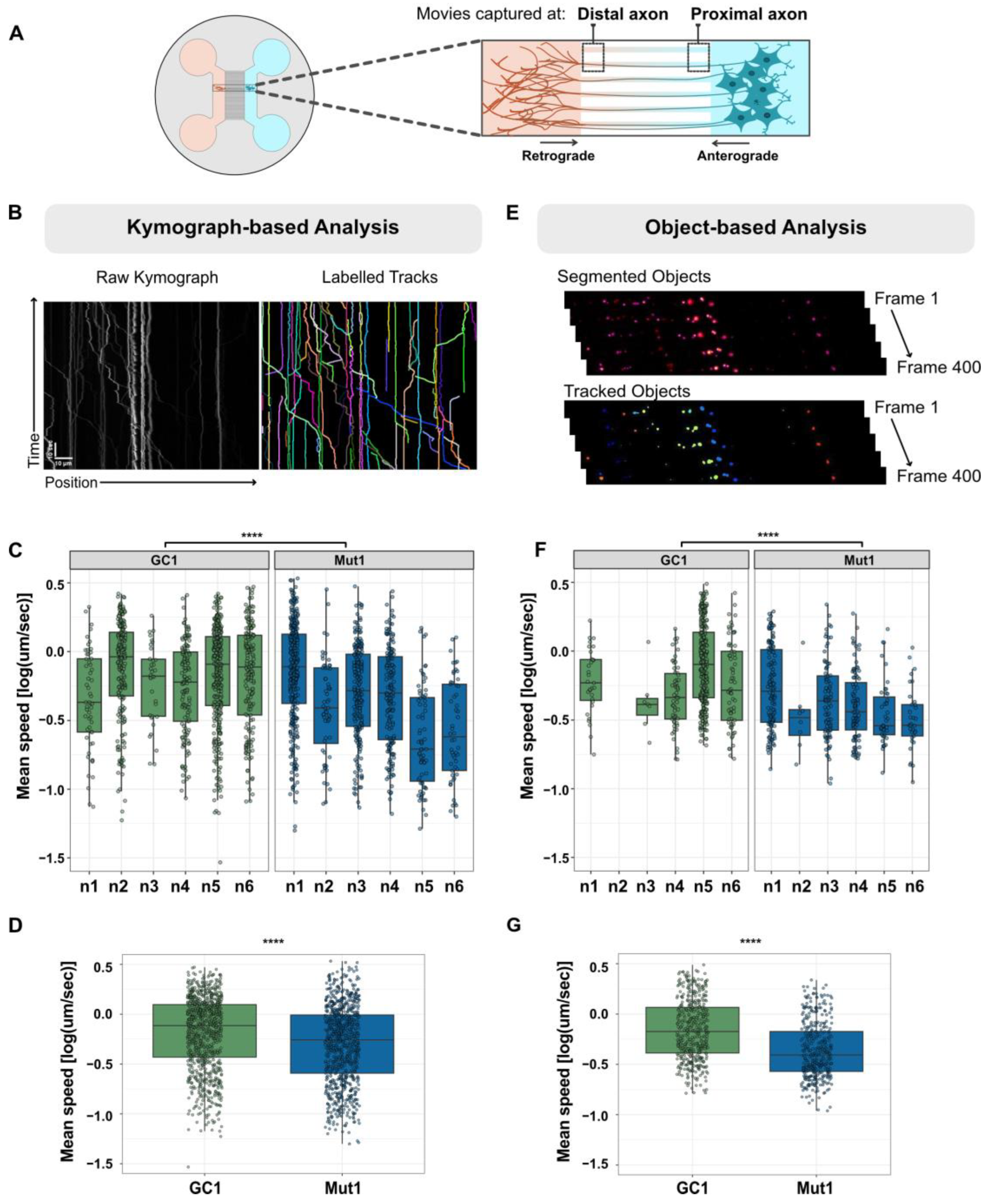 Biology 13 00058 g001