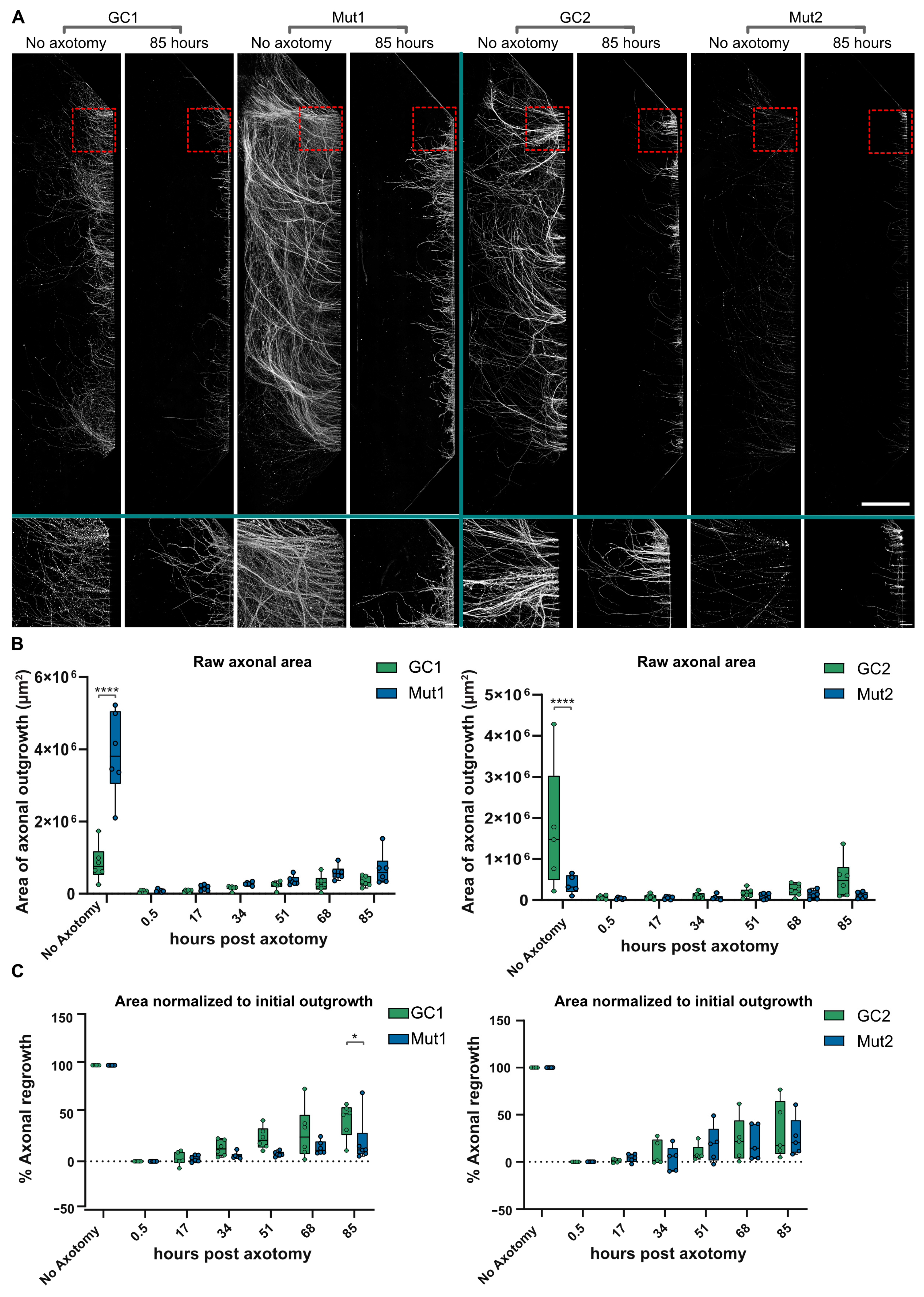 Biology 13 00058 g006