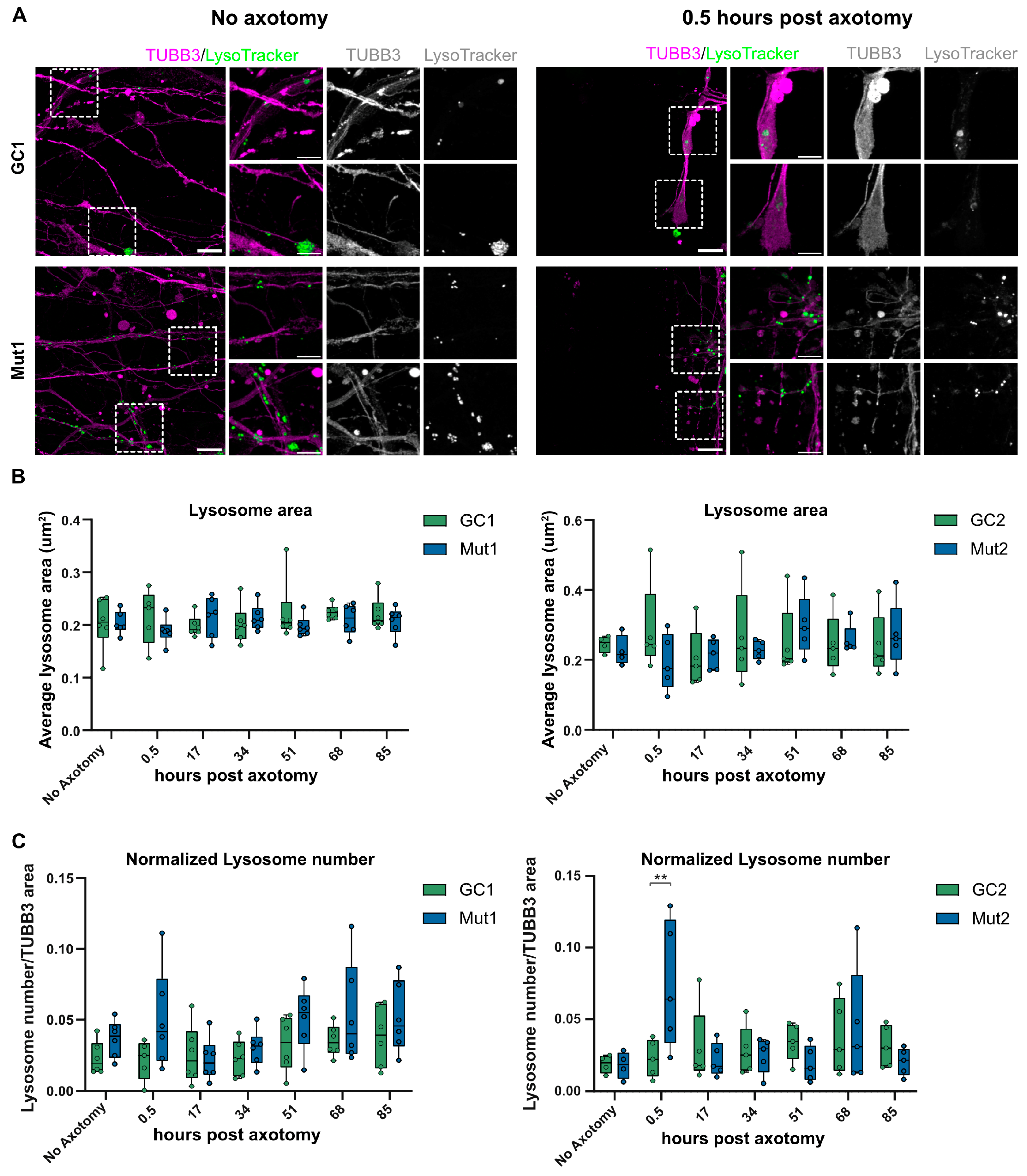Biology 13 00058 g007