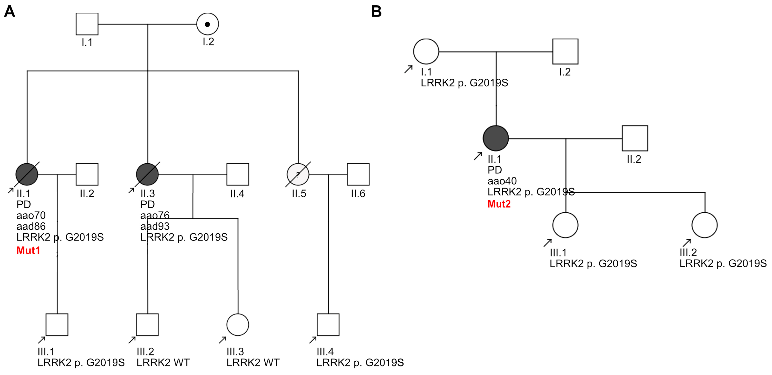 Biology 13 00058 g008