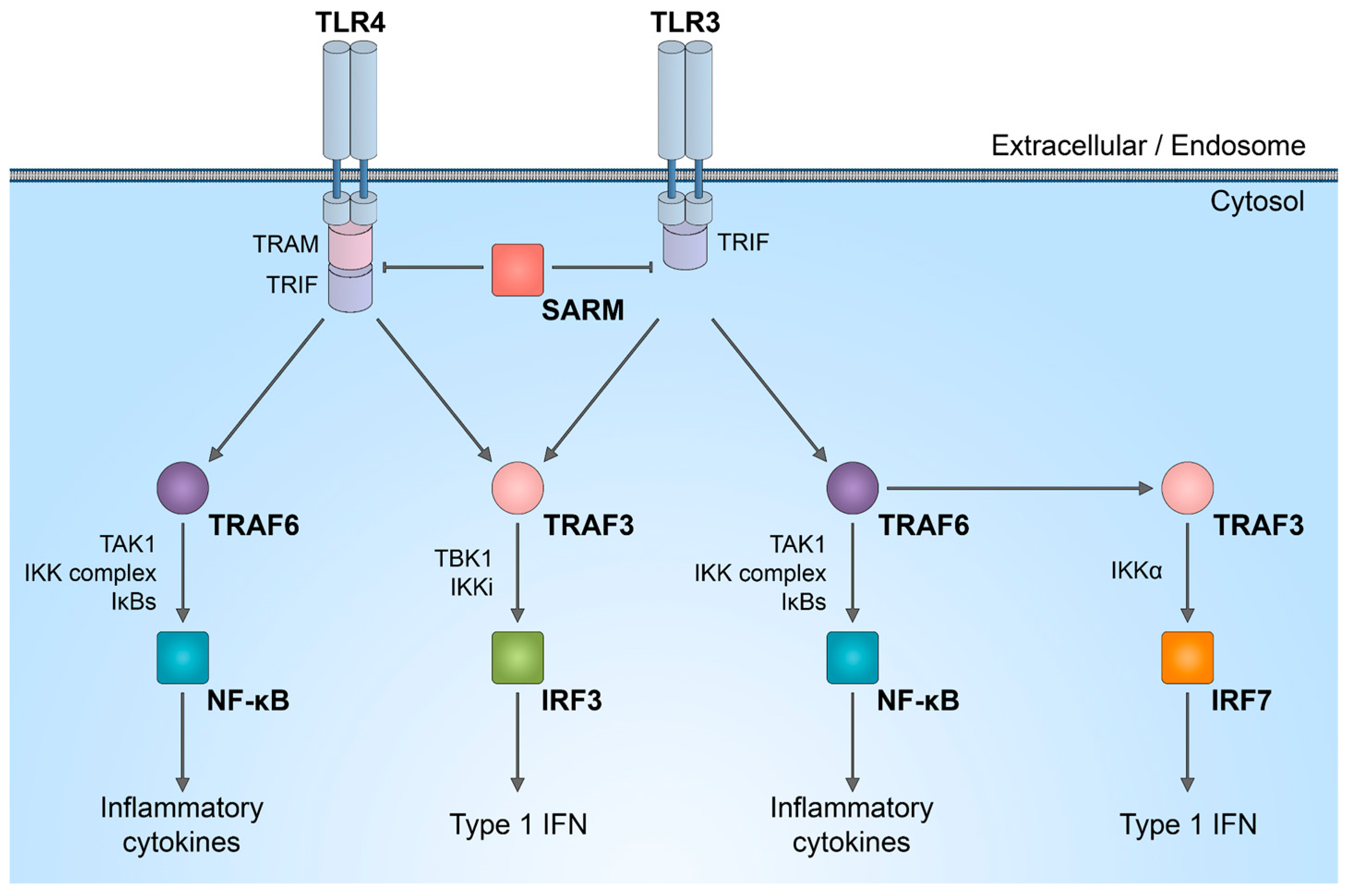 Biology 13 00061 g002