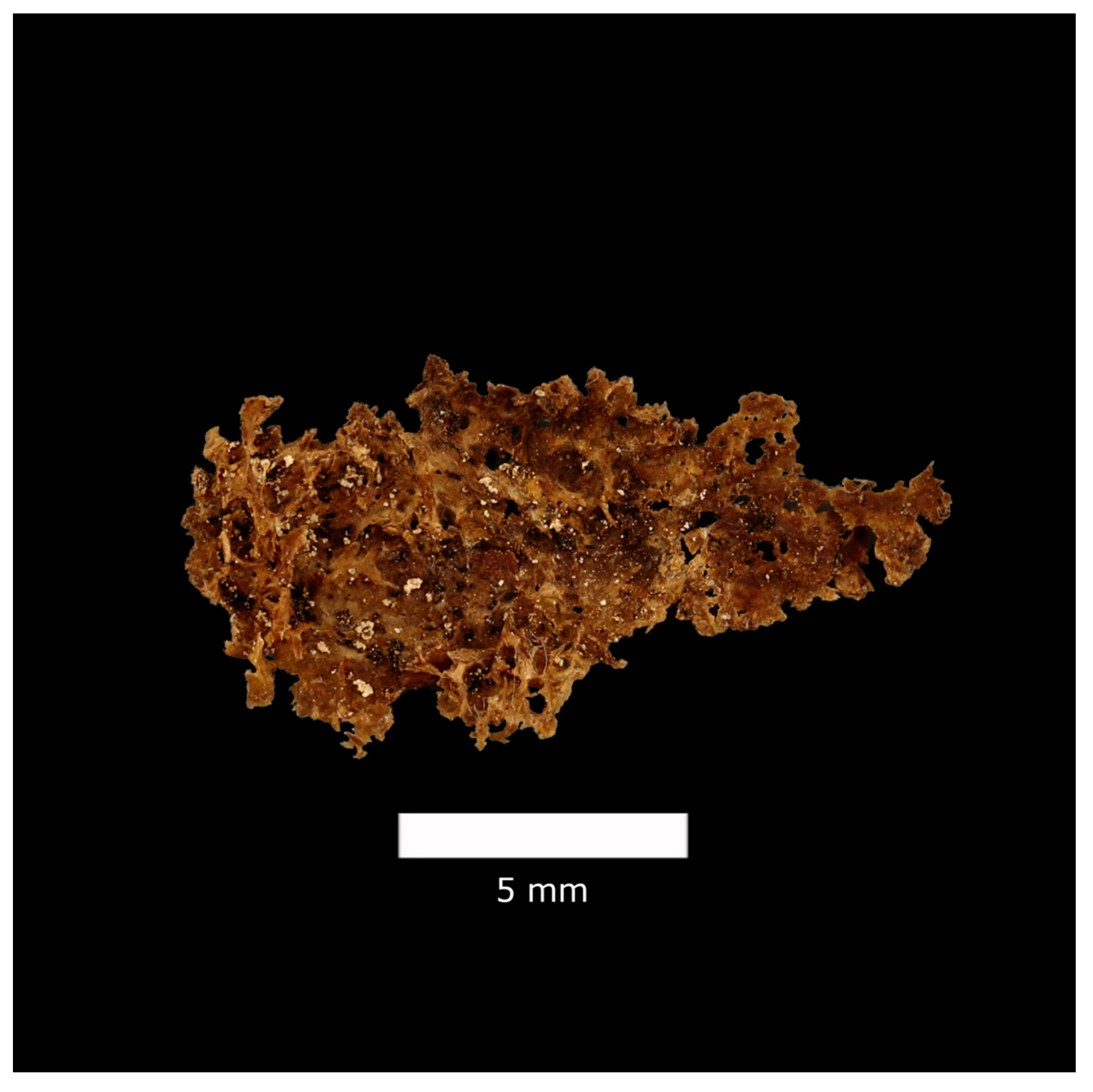 Biology 13 00066 g001 Biology 13 00066 g001