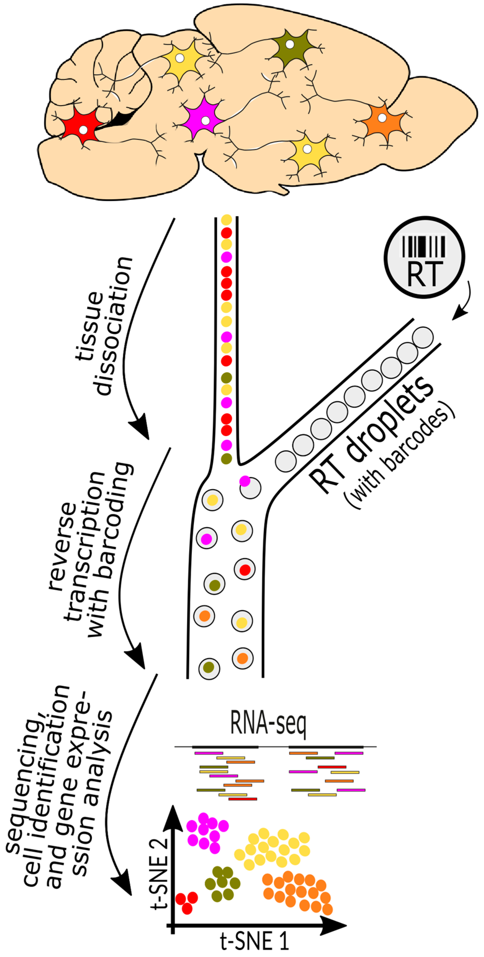 Biology 13 00067 g002