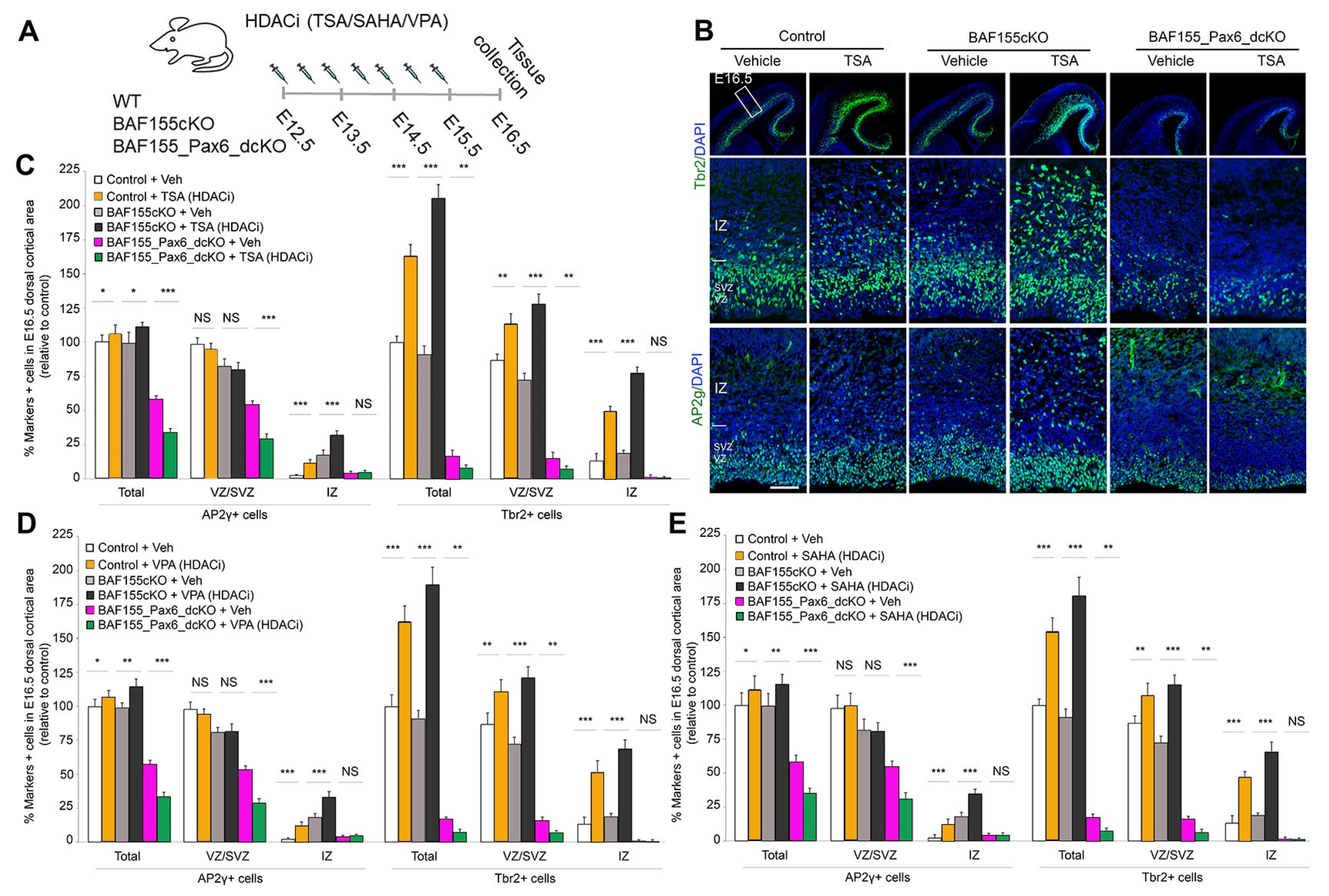 Biology 13 00068 g001