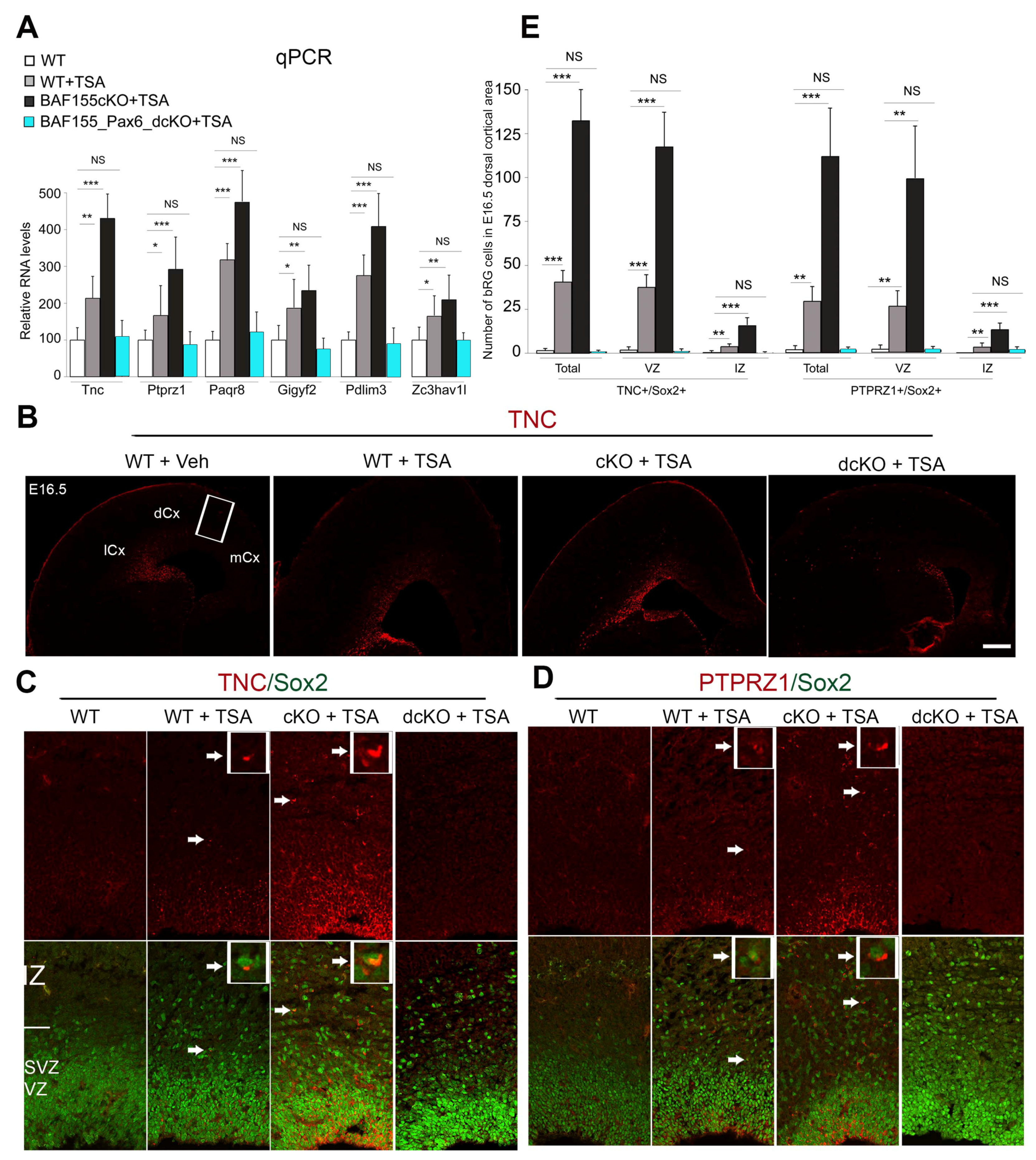 Biology 13 00068 g002