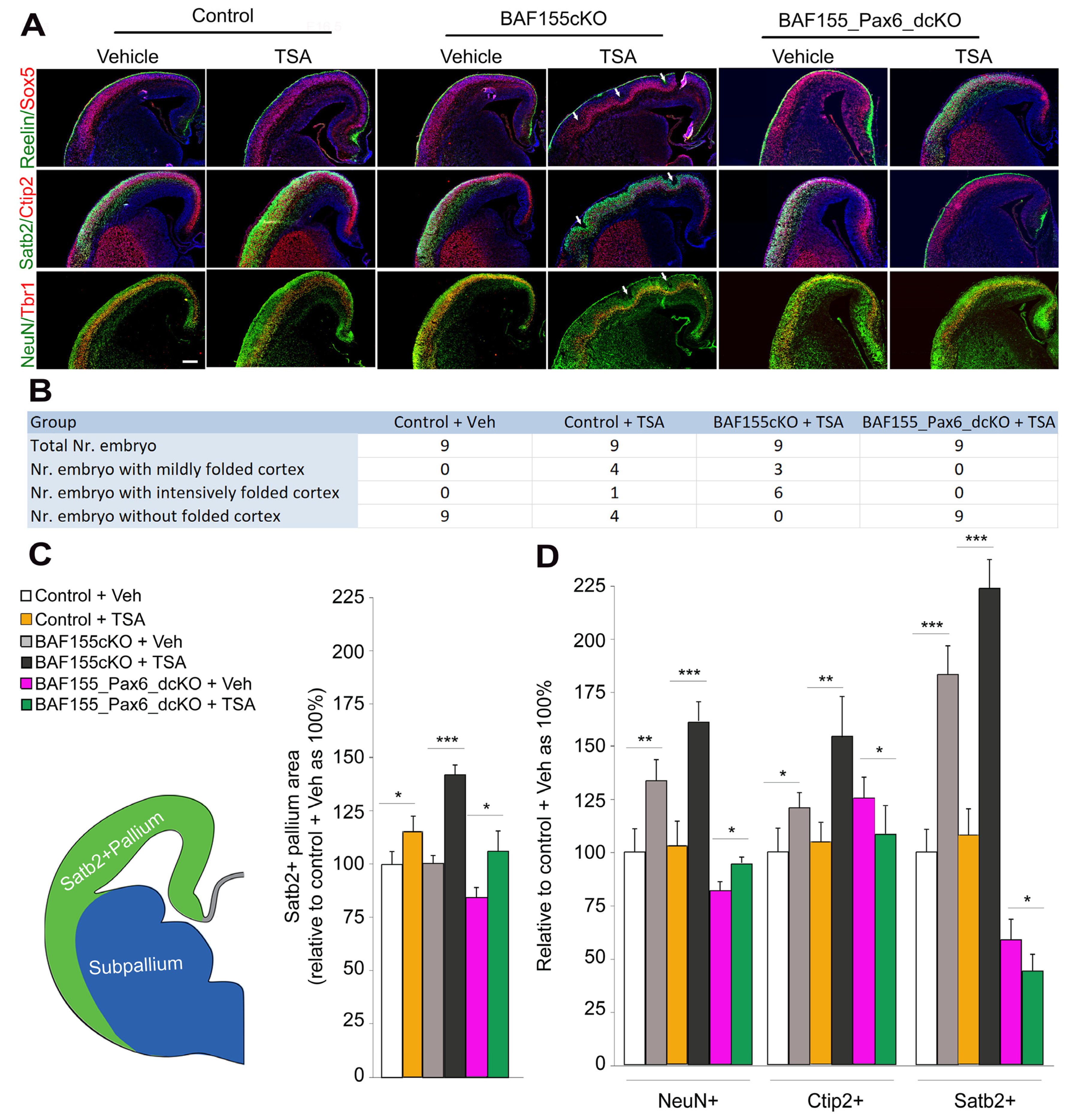 Biology 13 00068 g003