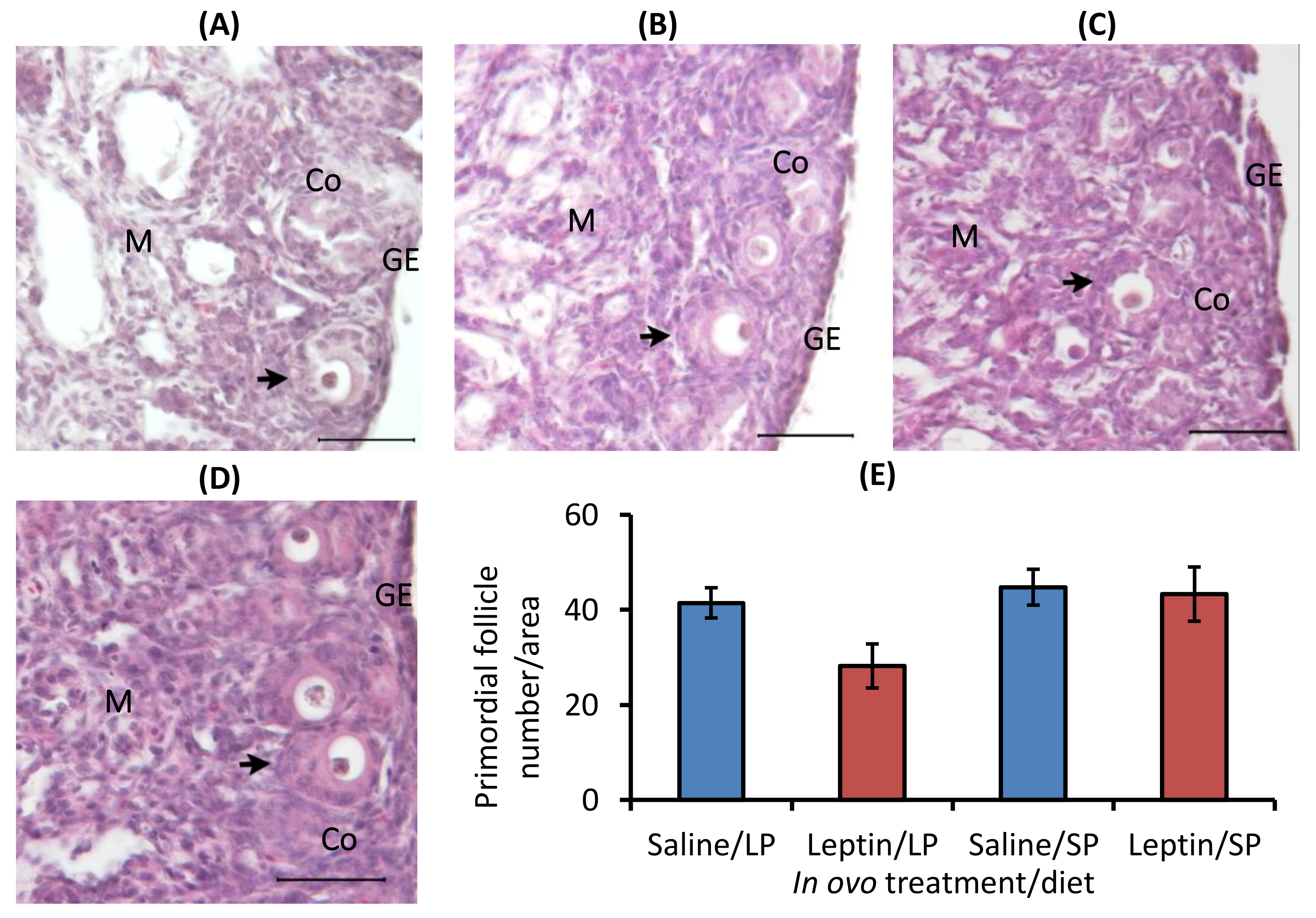 Biology 13 00069 g004