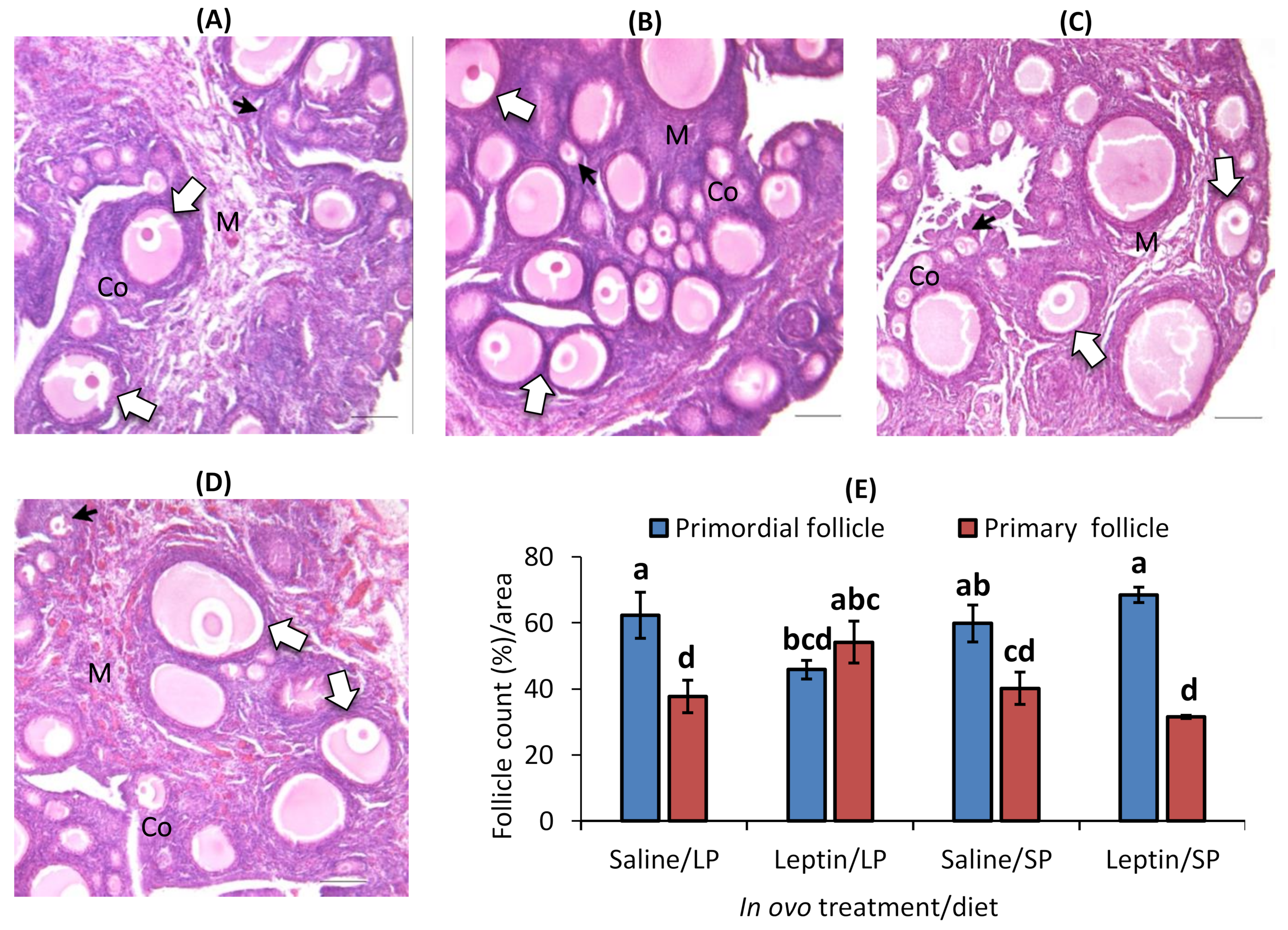 Biology 13 00069 g007
