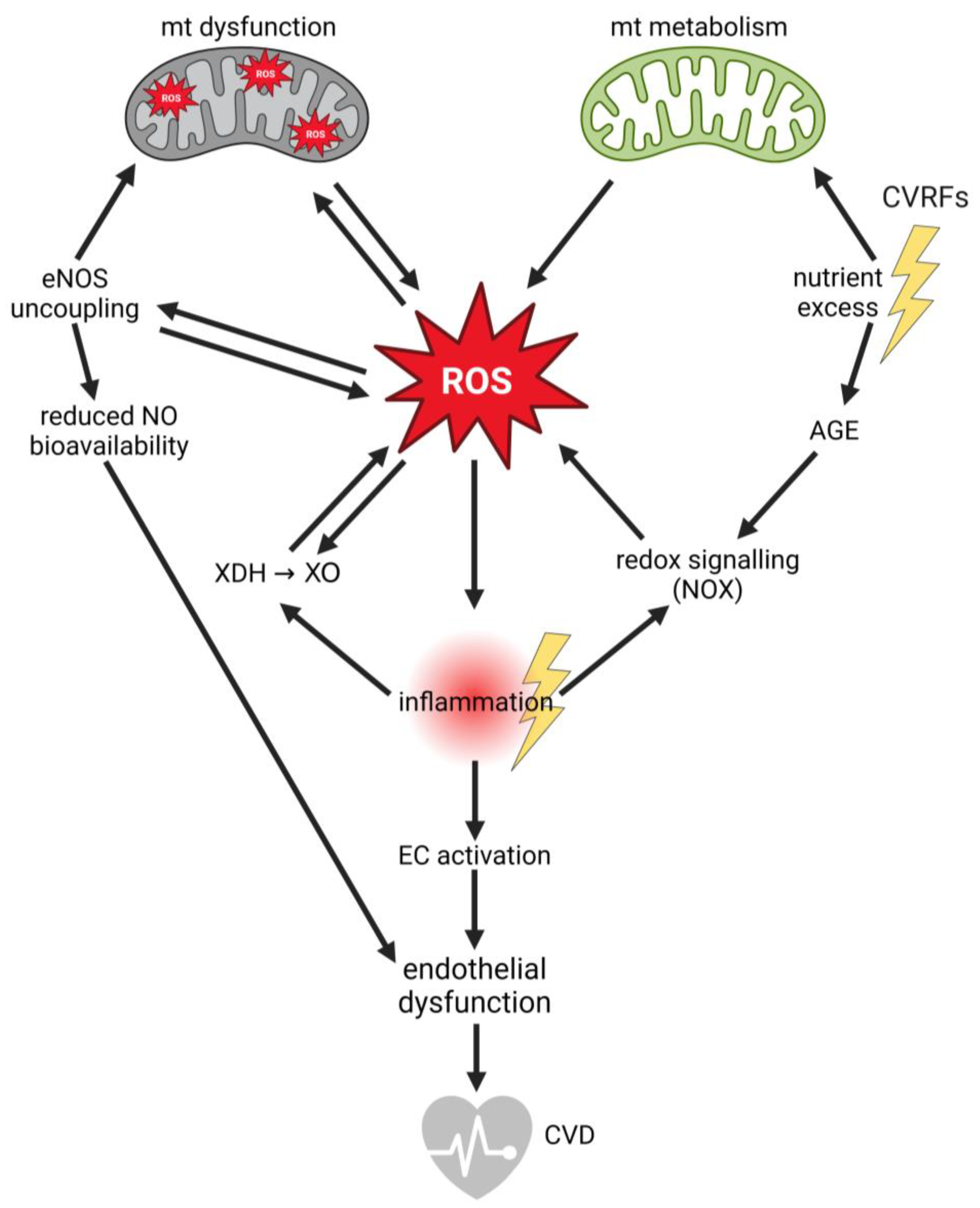 Biology 13 00070 g001 Biology 13 00070 g001