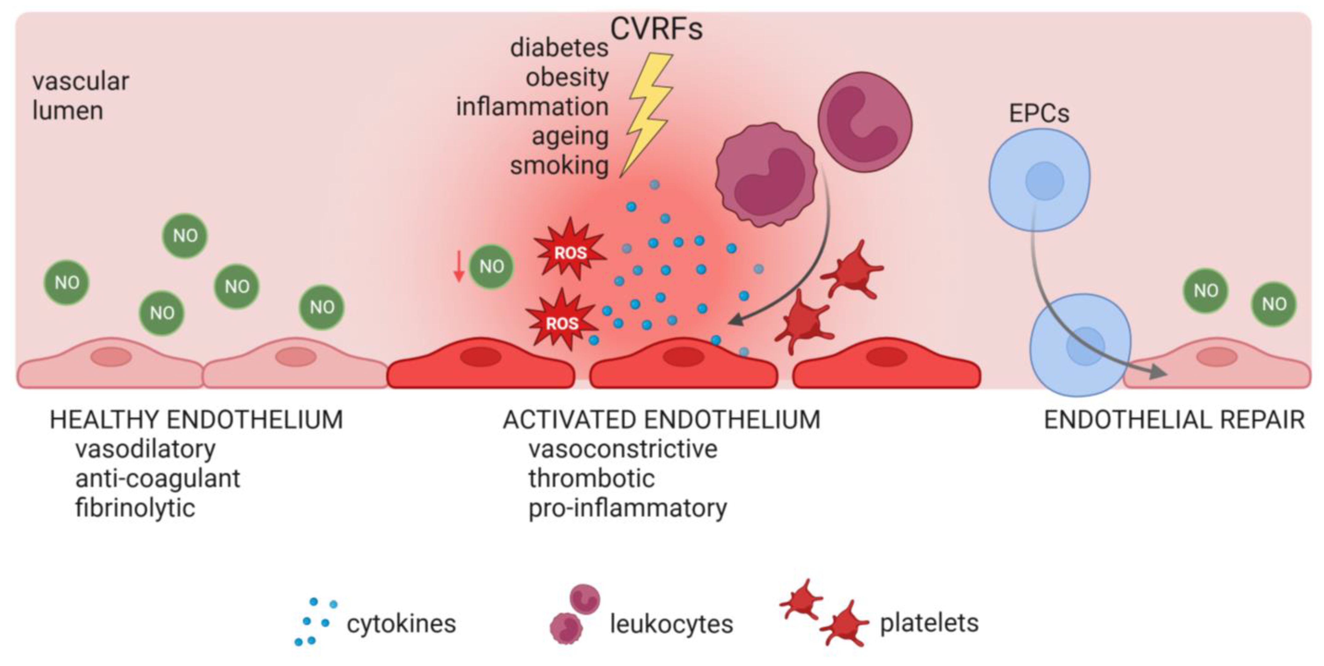 Biology 13 00070 g002 Biology 13 00070 g002