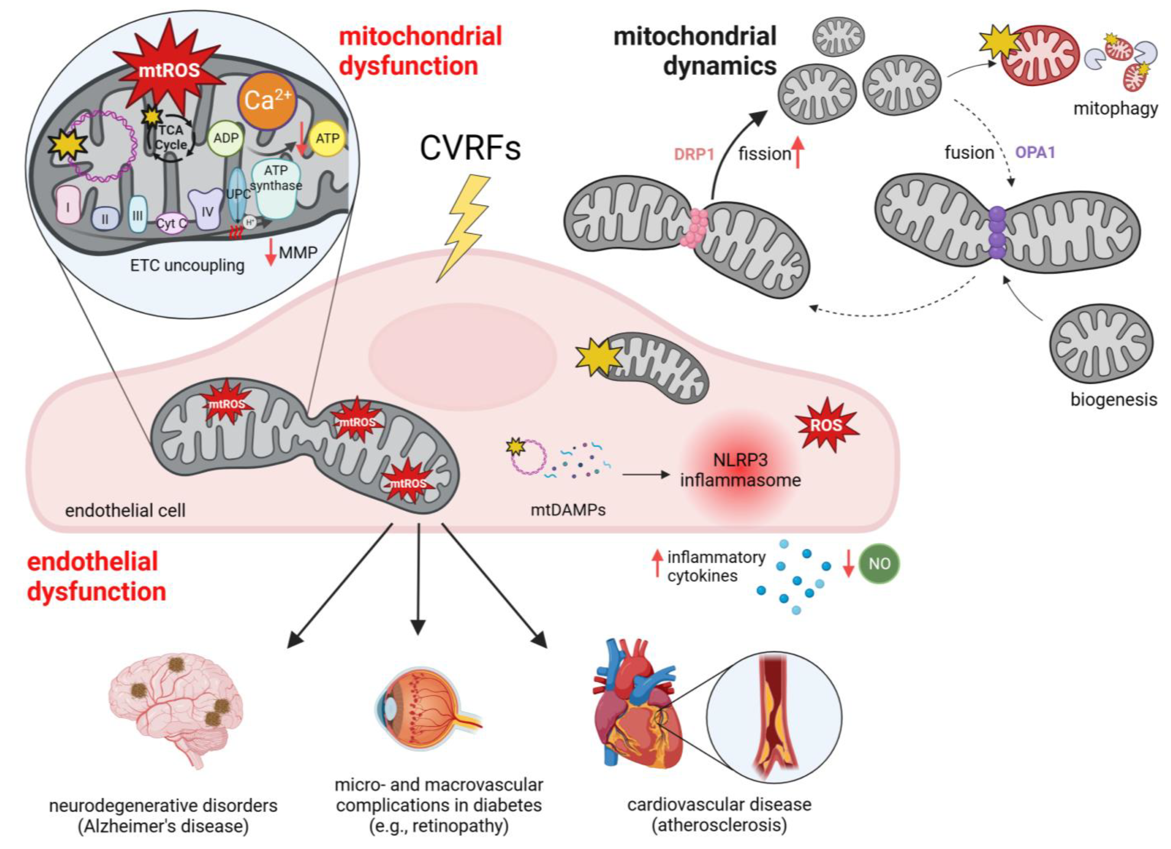 Biology 13 00070 g003 Biology 13 00070 g003