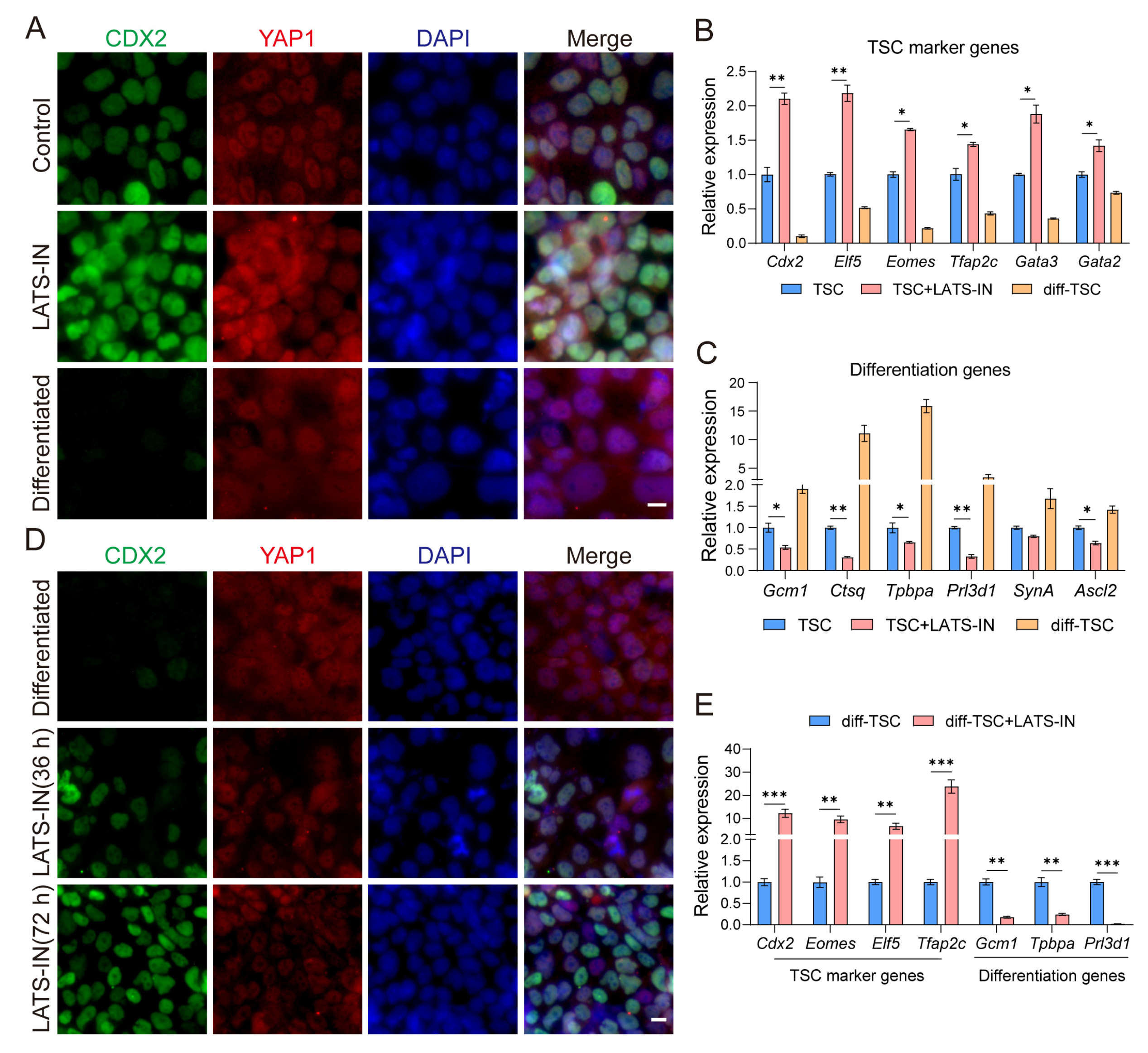 Biology 13 00071 g001