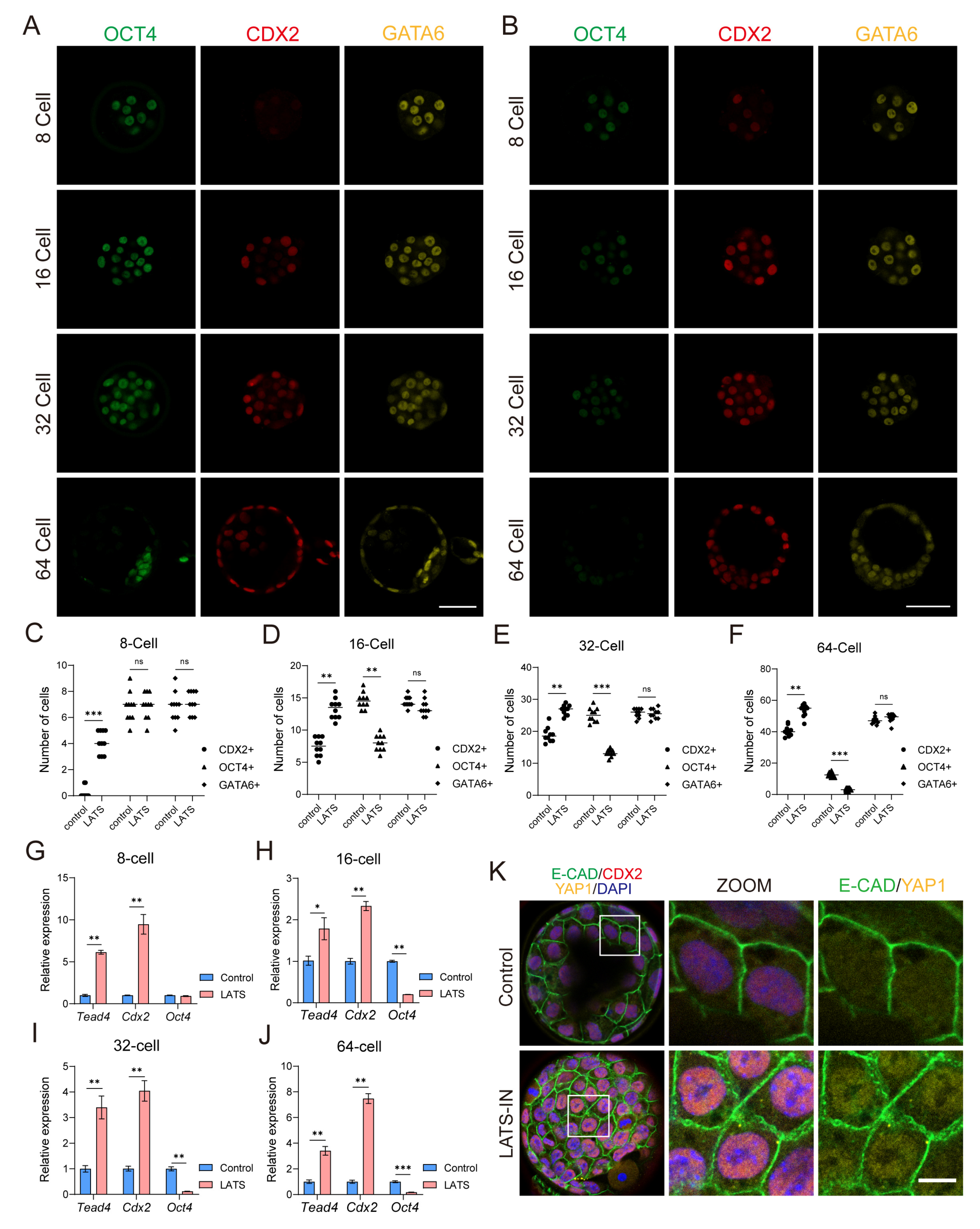 Biology 13 00071 g002