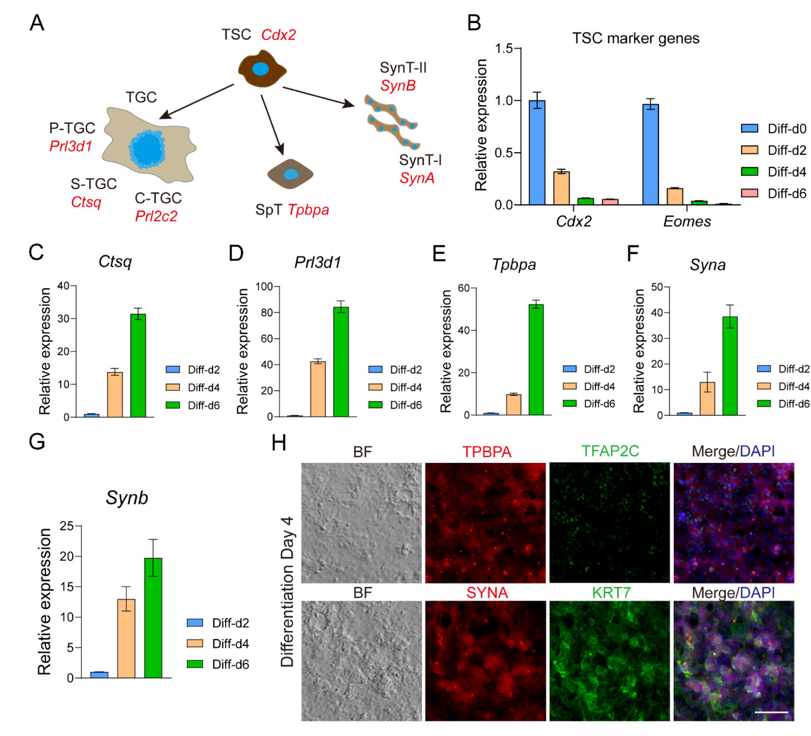 Biology 13 00071 g005