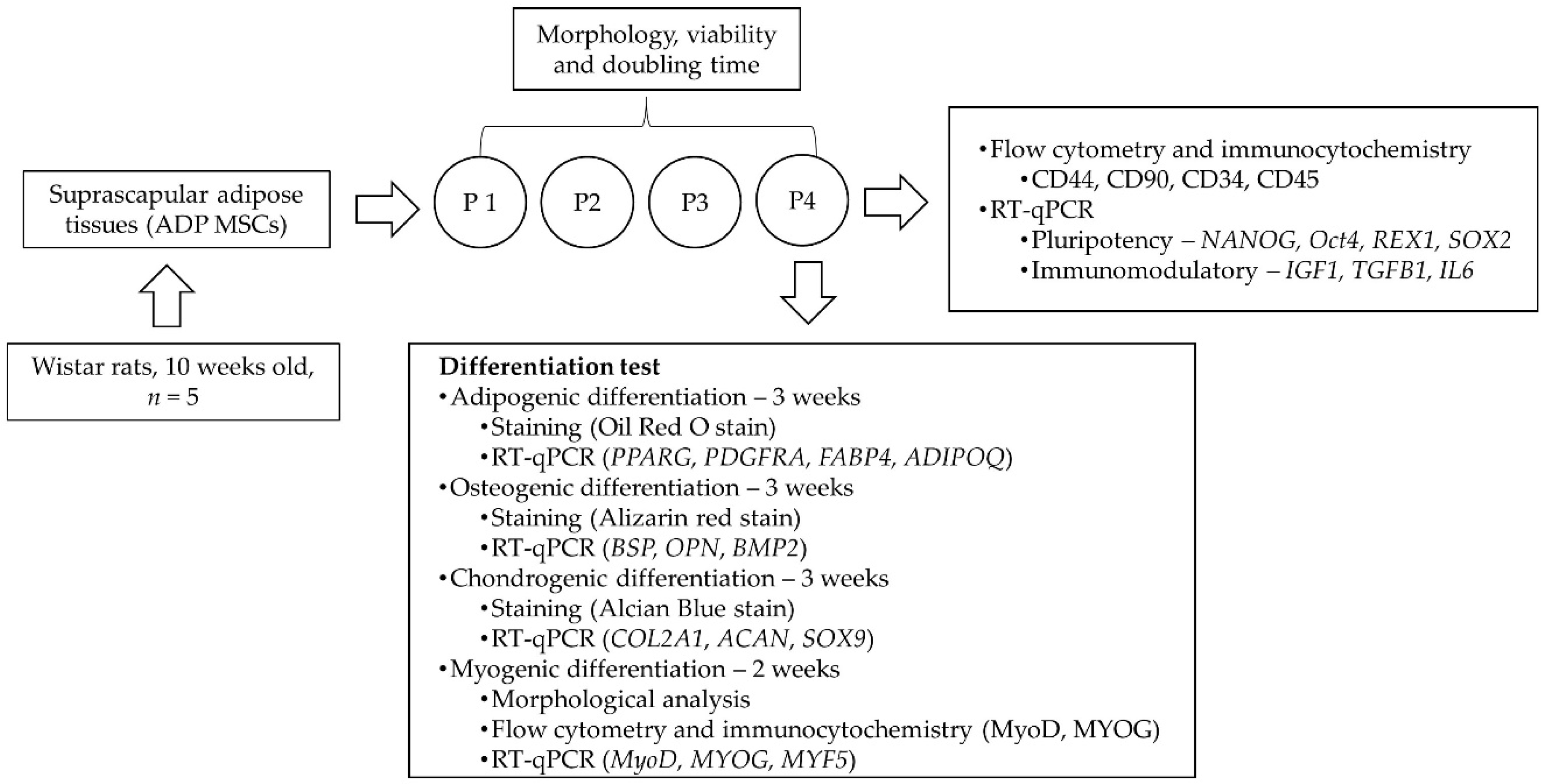 Biology 13 00072 g001
