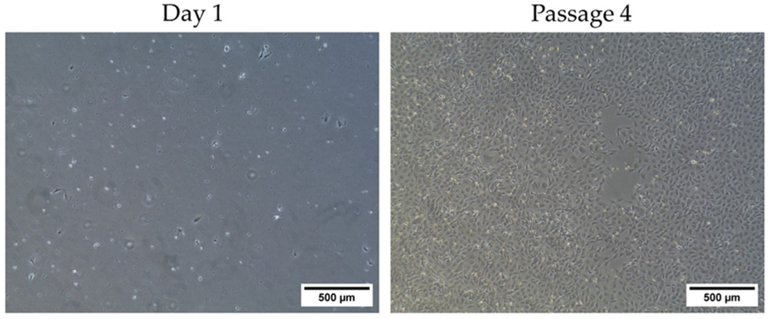 Biology 13 00072 g002