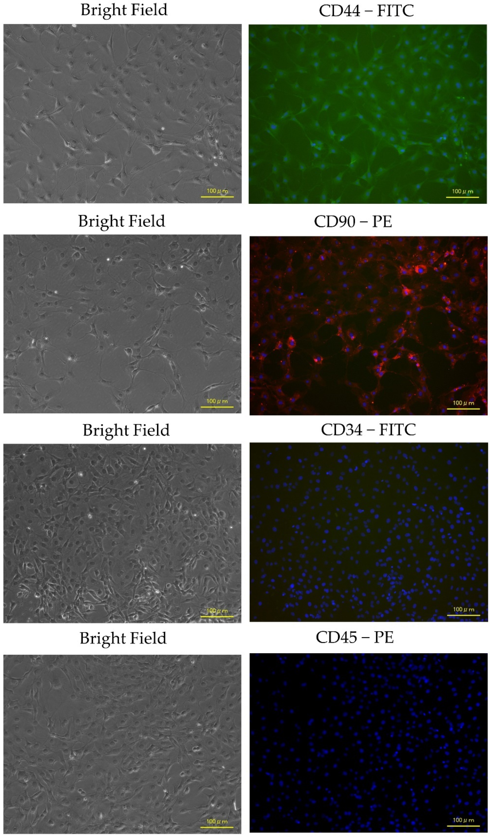 Biology 13 00072 g004