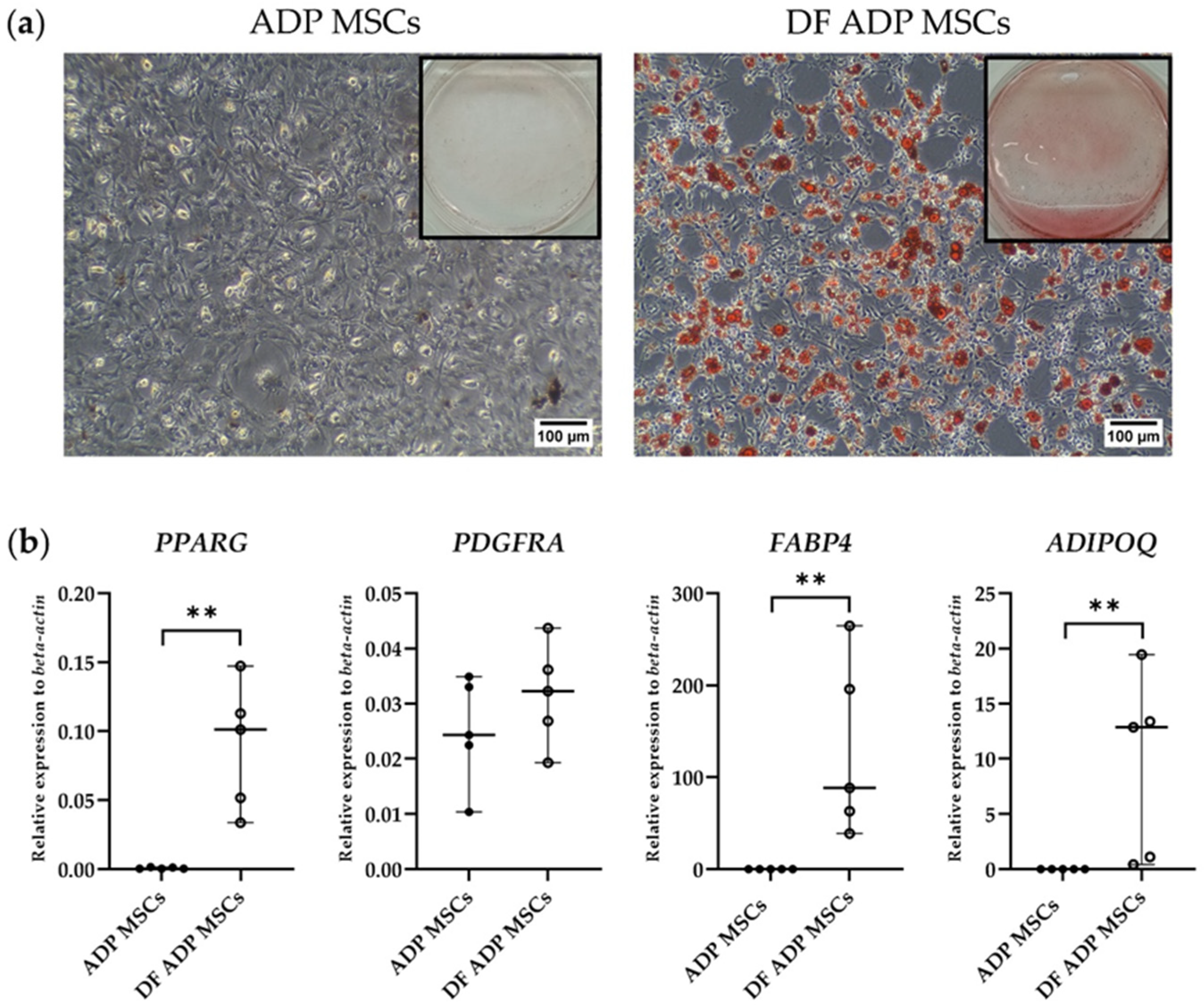 Biology 13 00072 g006