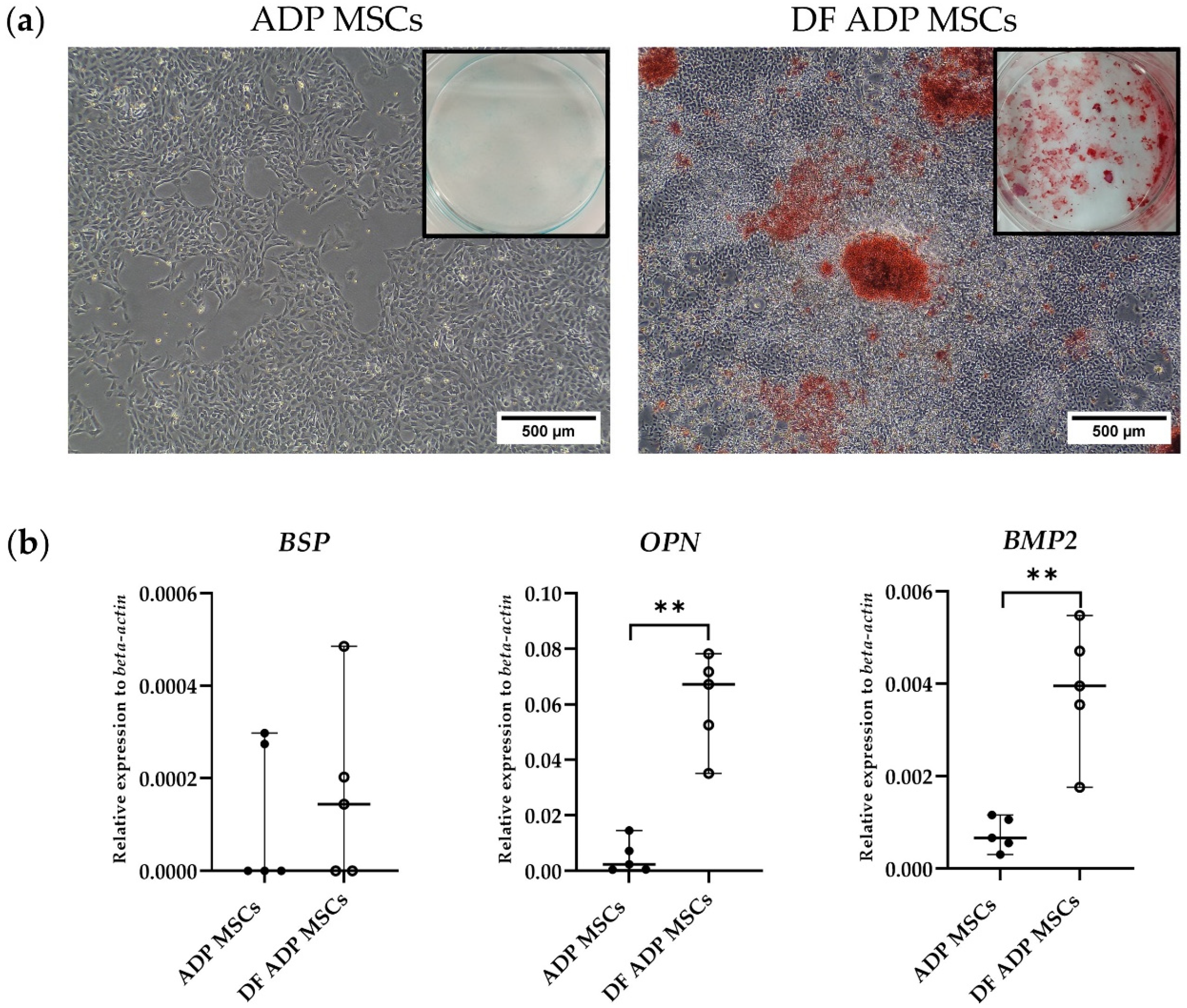 Biology 13 00072 g007
