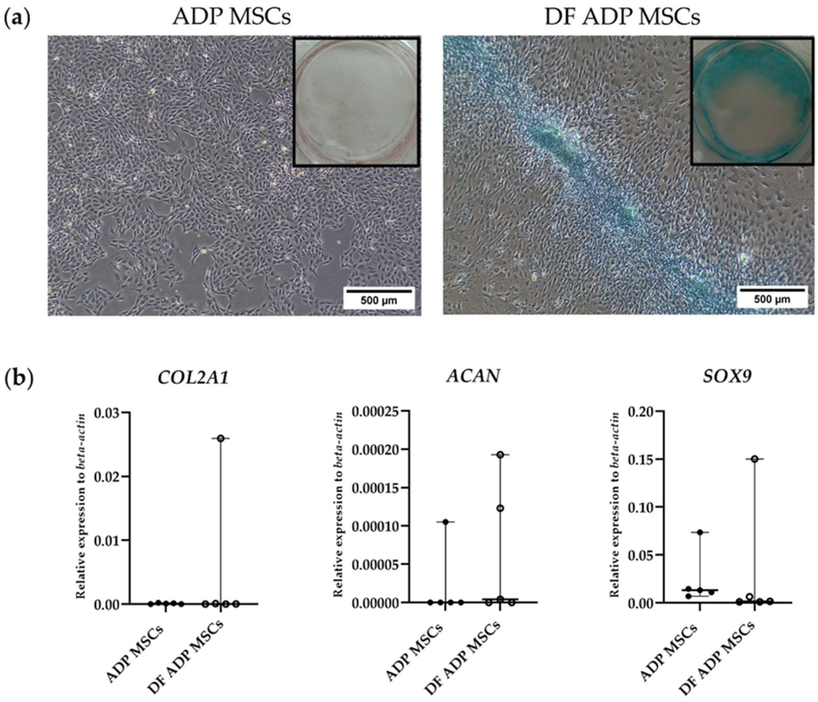 Biology 13 00072 g008