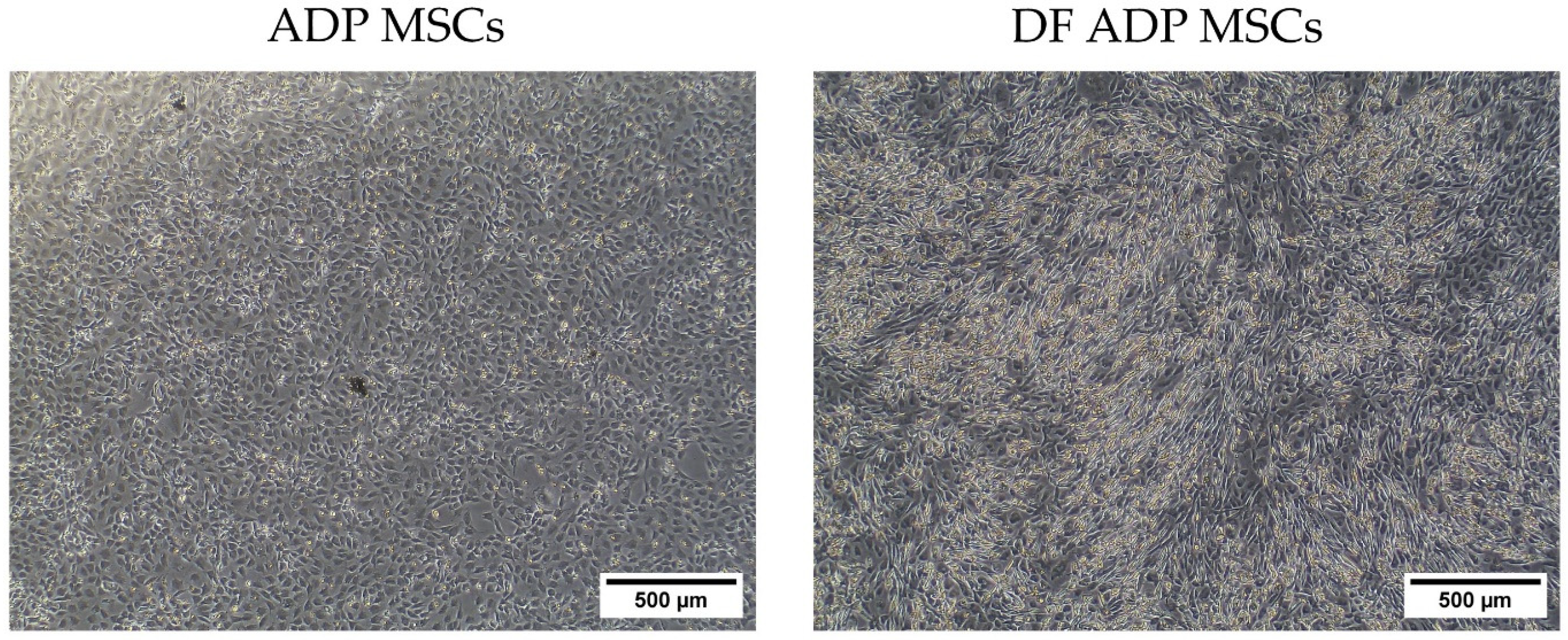 Biology 13 00072 g009