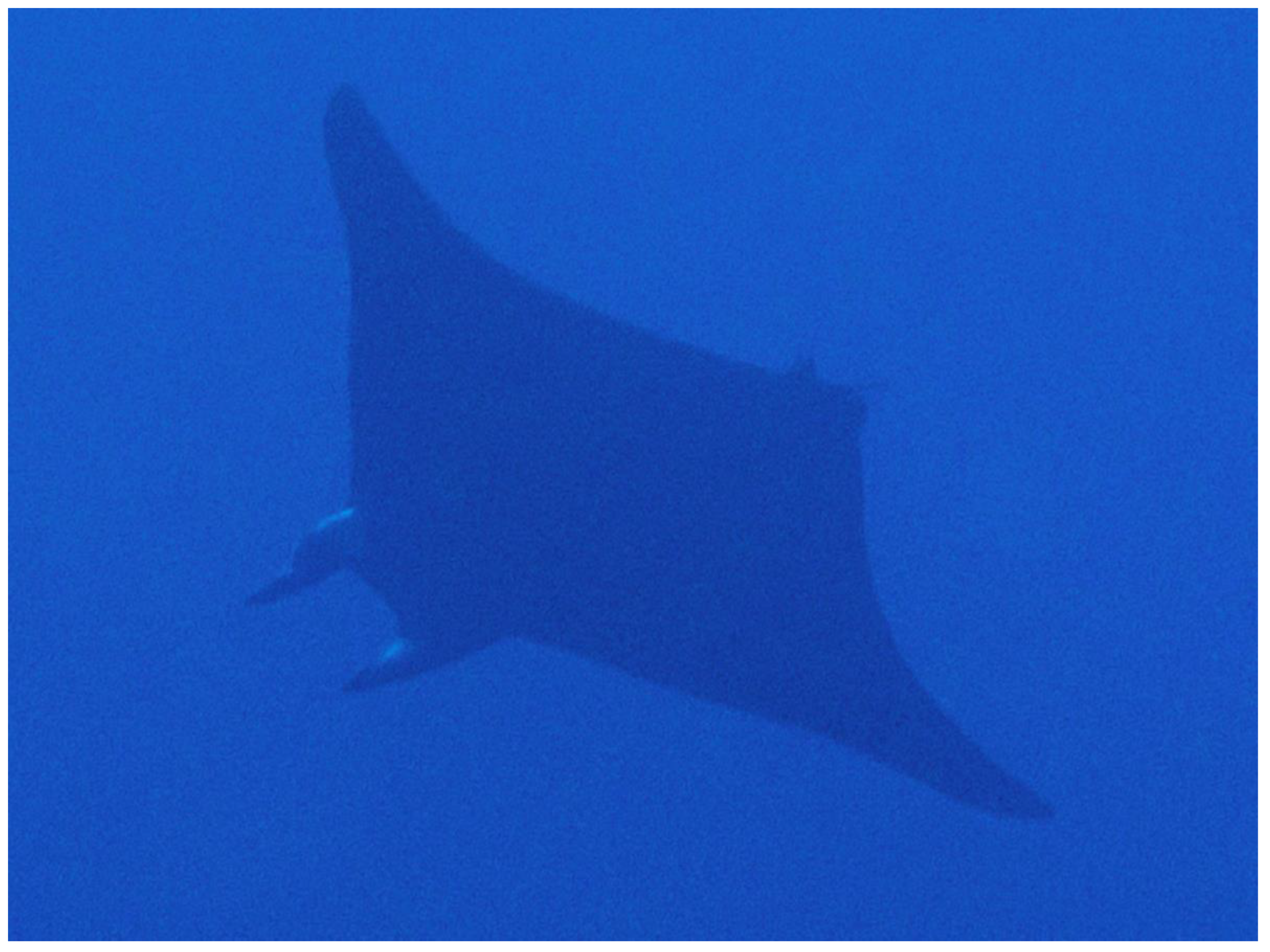 Biology 13 00073 g005