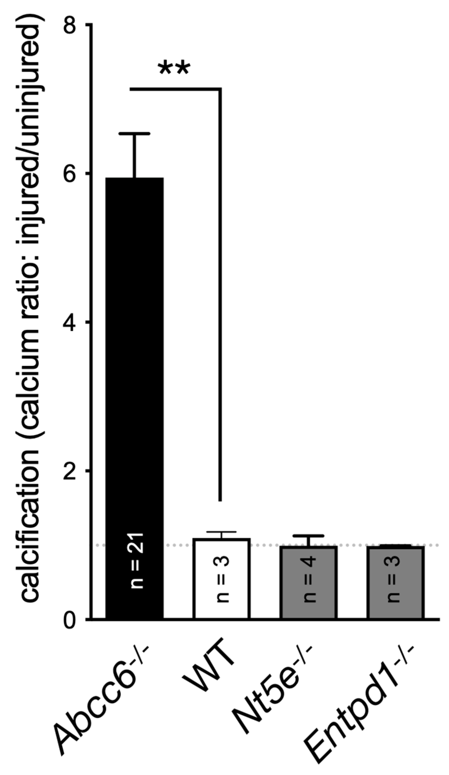 Biology 13 00074 g002