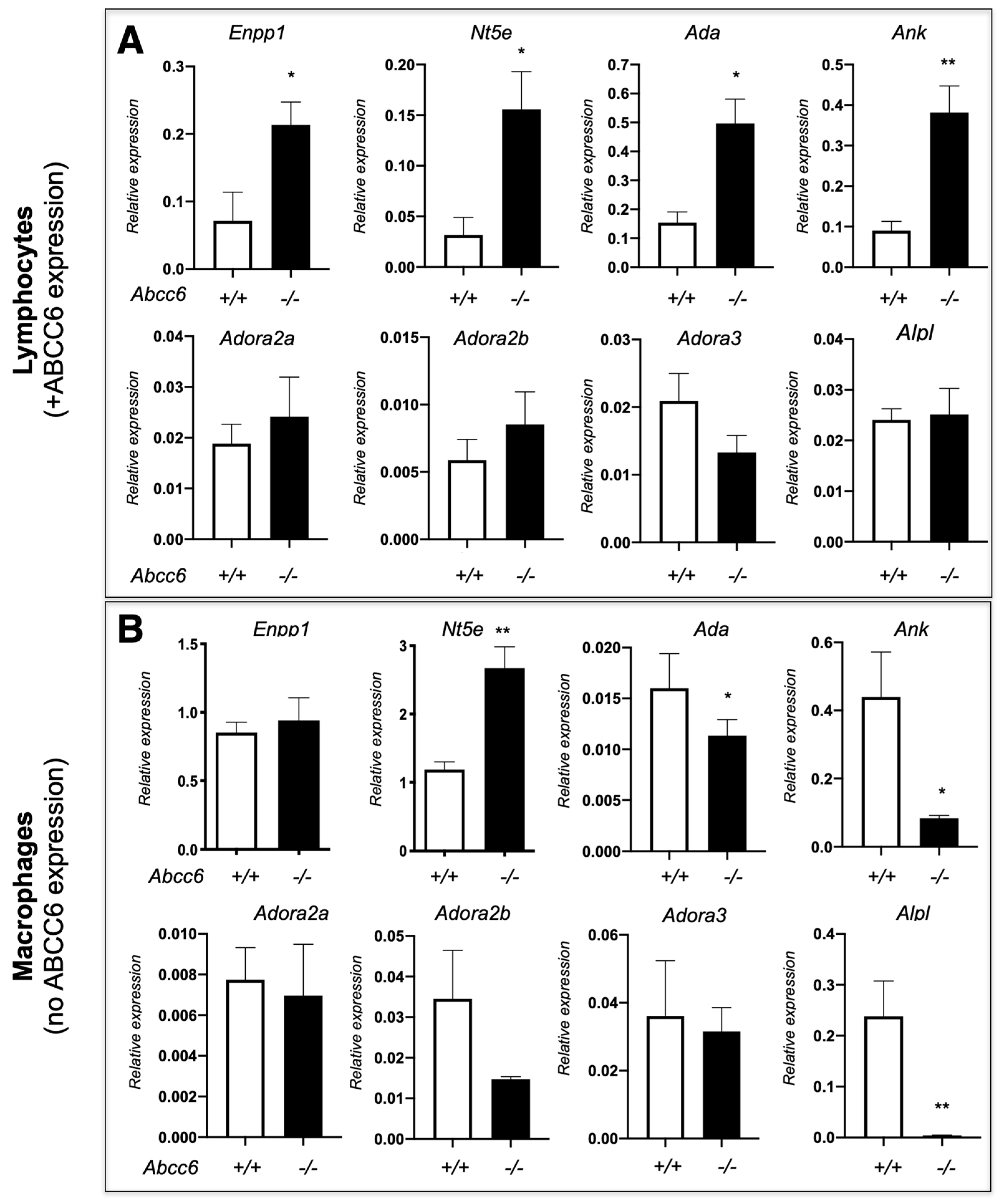 Biology 13 00074 g004