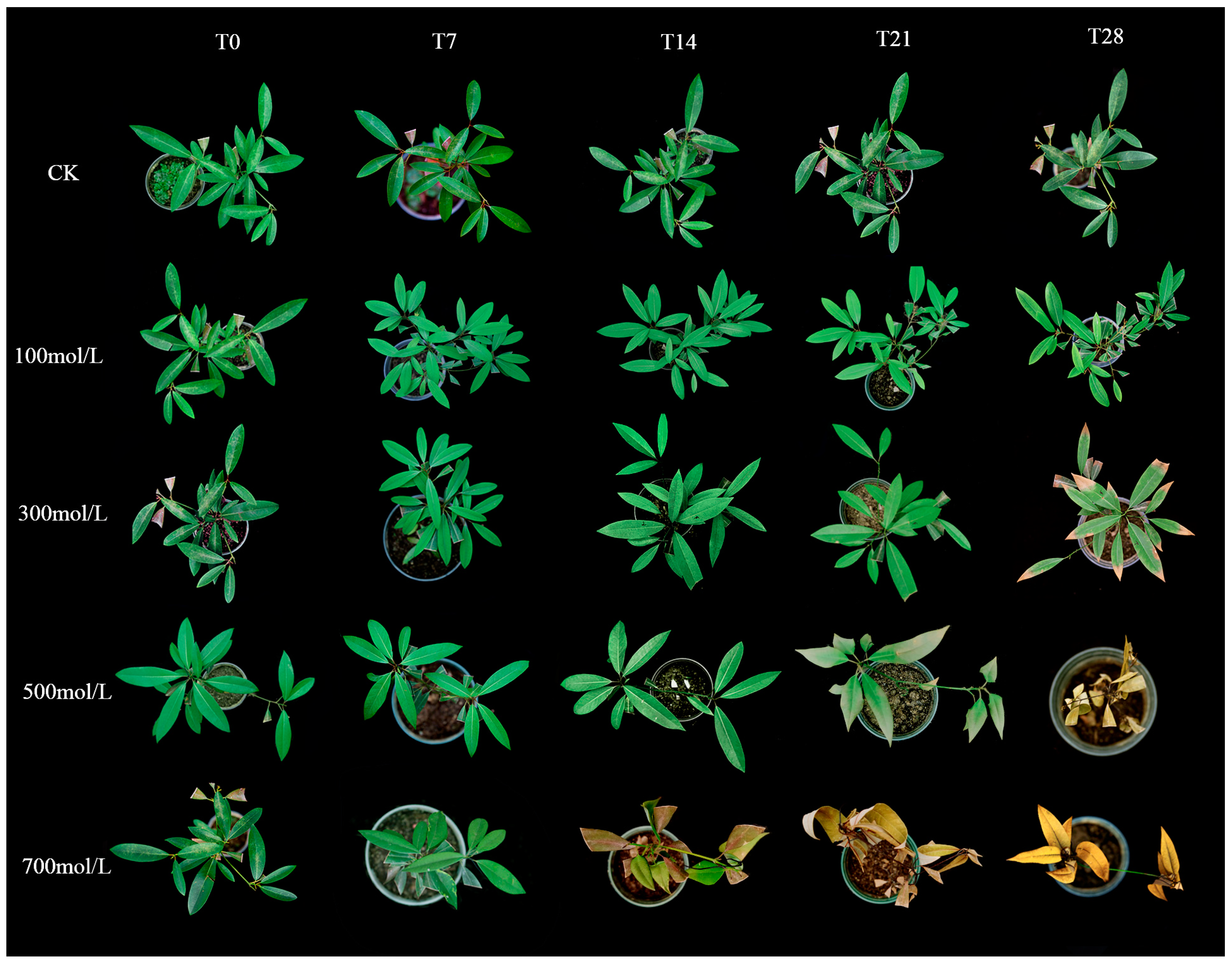 Biology 13 00075 g001