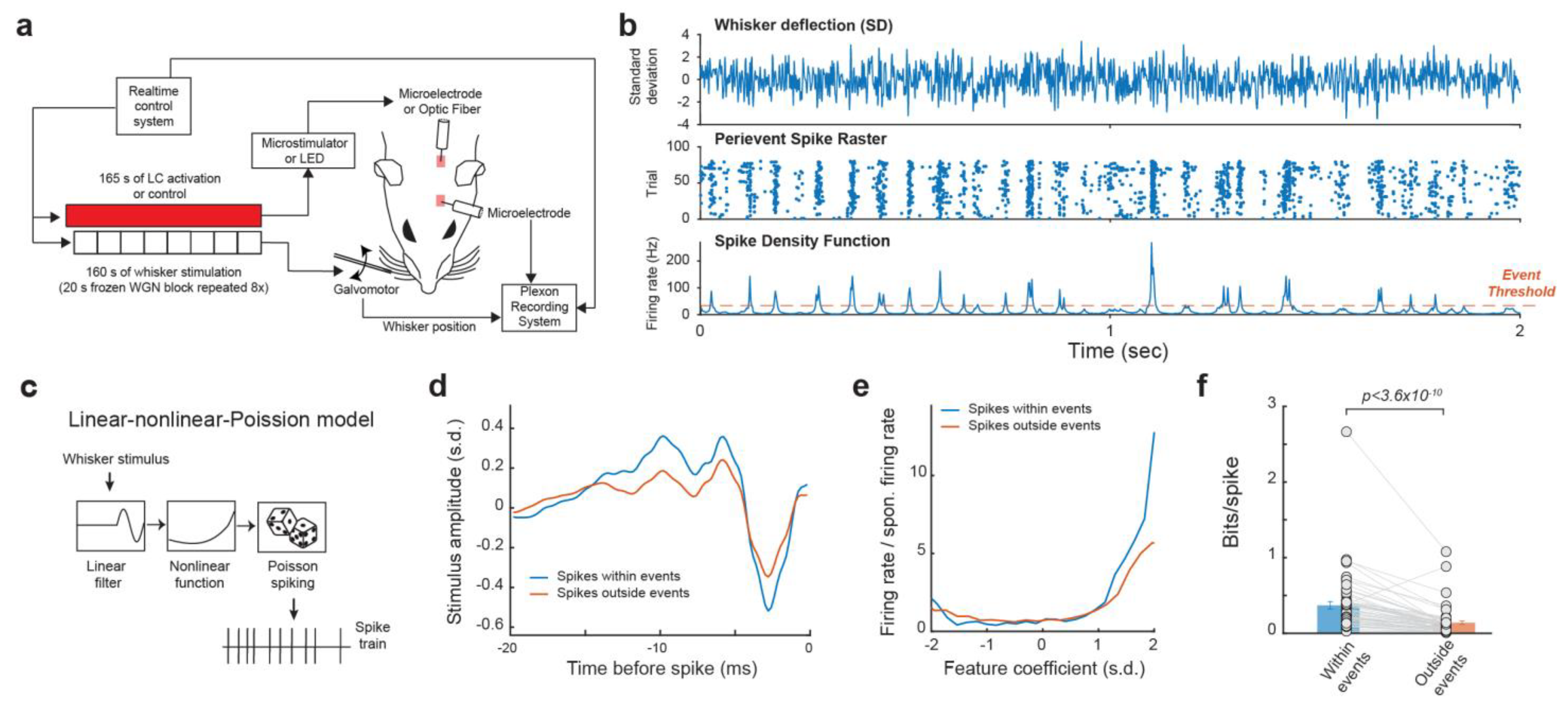 Biology 13 00079 g001